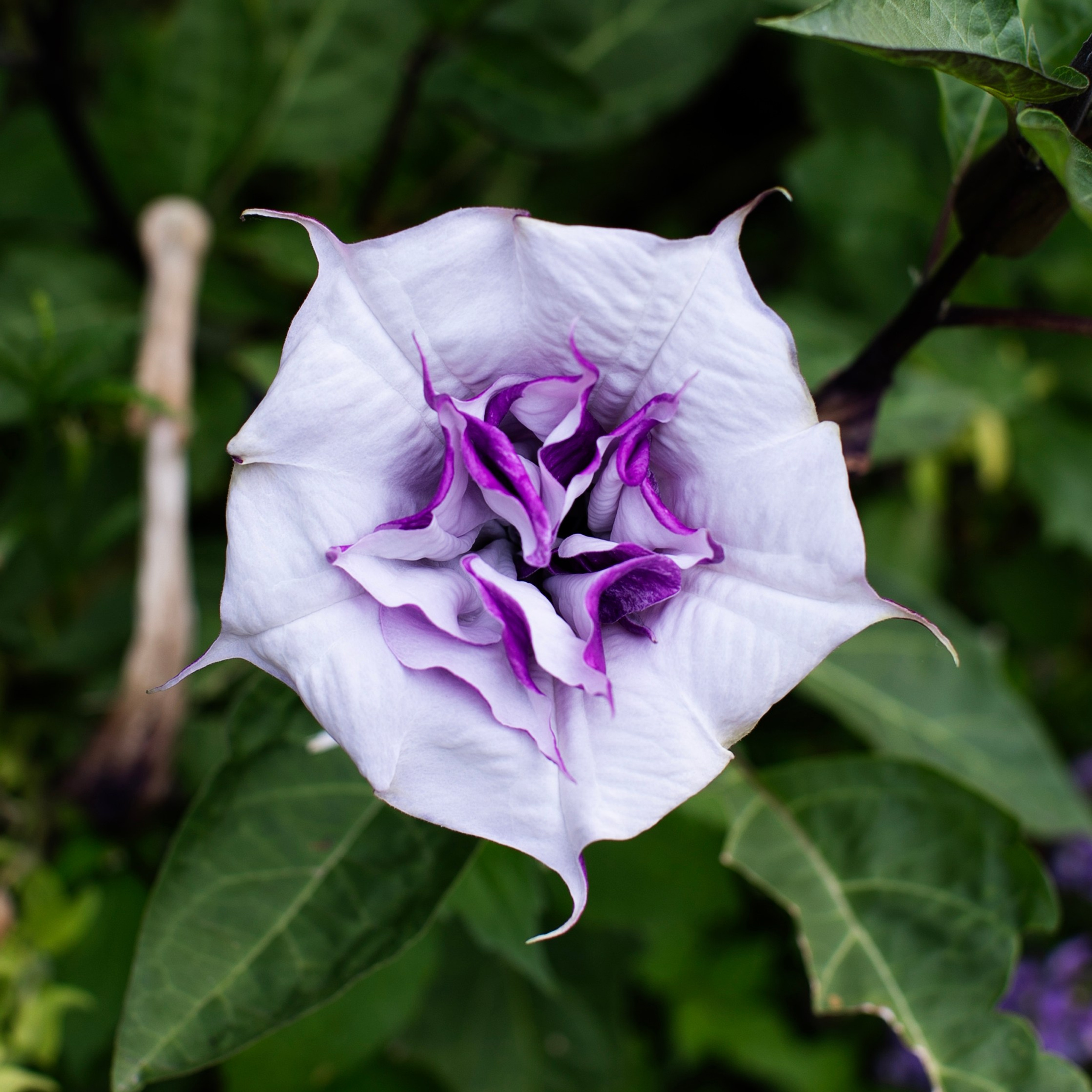 Франция'24: Париж-Жеверни-Руан-Этрета-Онфлер. Фотограф-портретист в Москве