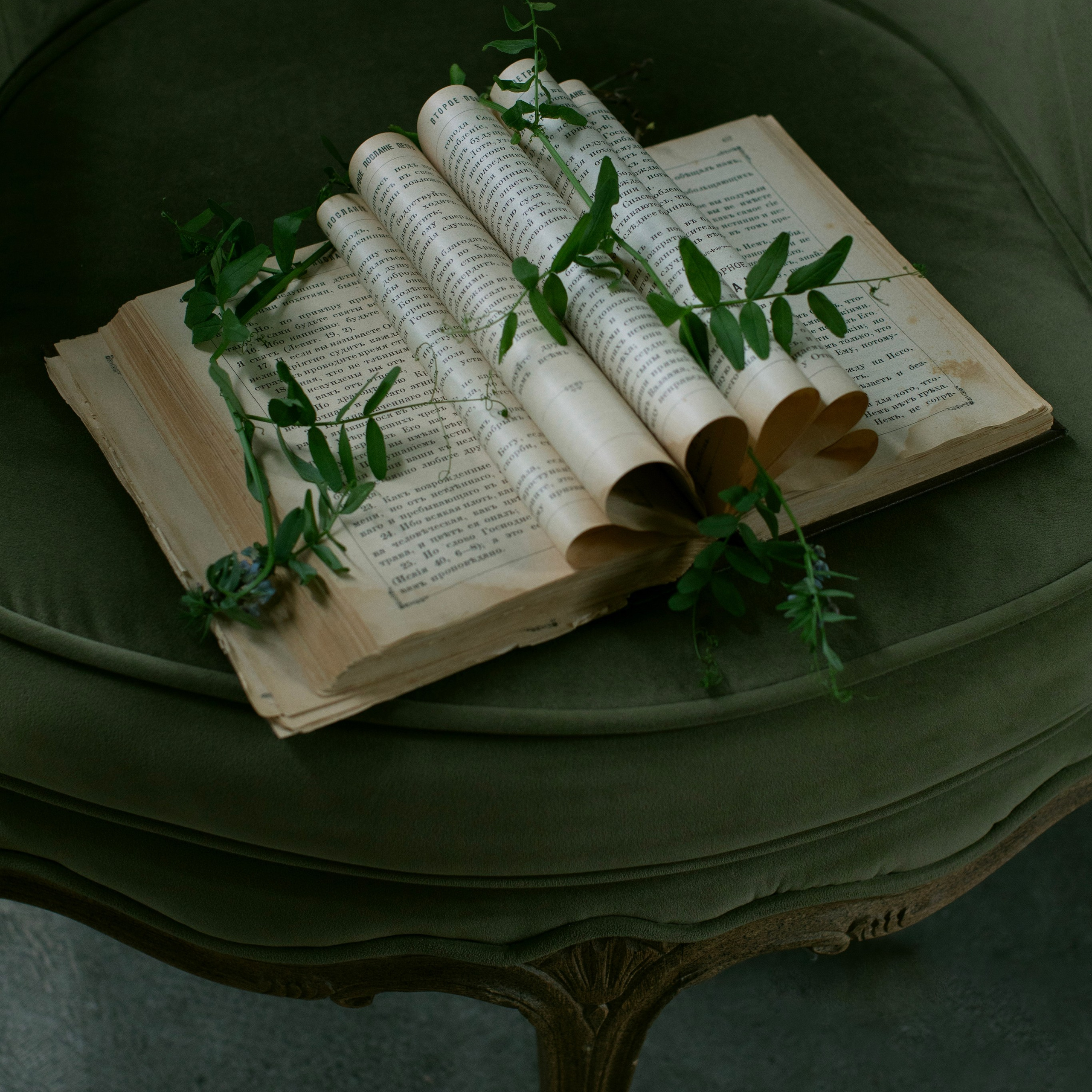 Предметы и цвет. Фотограф-портретист в Москве