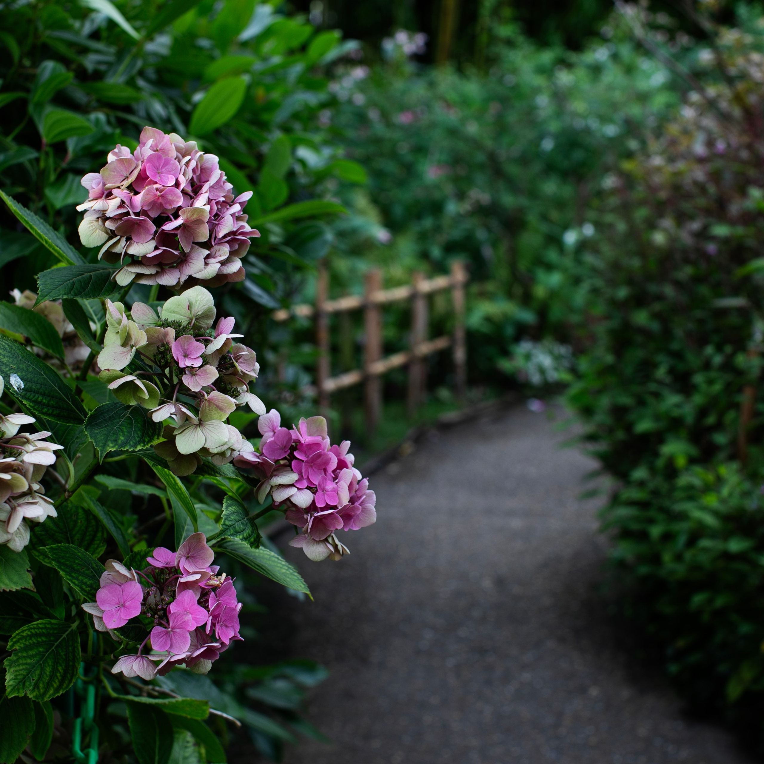 Франция'24: Париж-Жеверни-Руан-Этрета-Онфлер. Фотограф-портретист в Москве