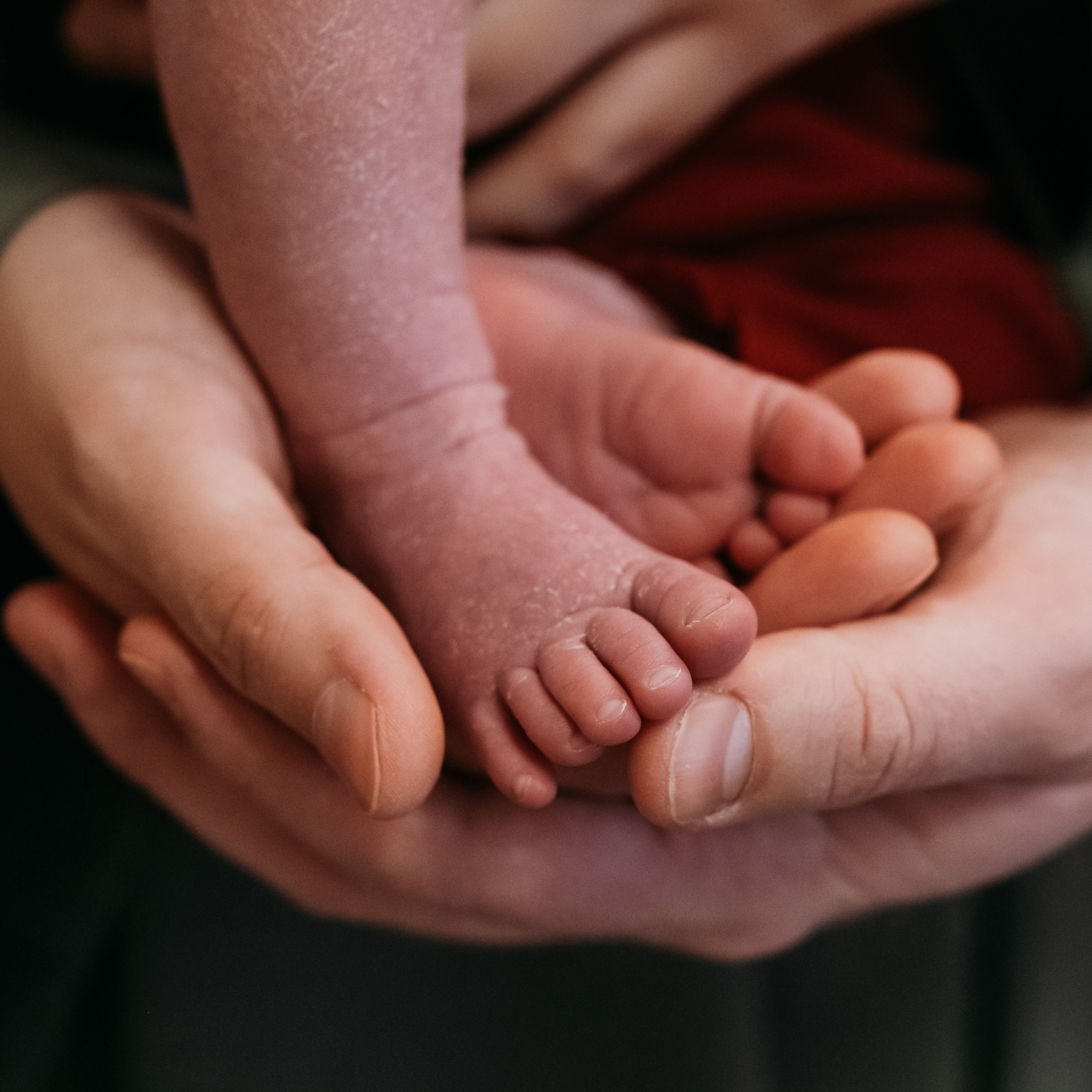 Анонсы съемок. Семейный и детский фотограф в Москве Светлана Потемкина