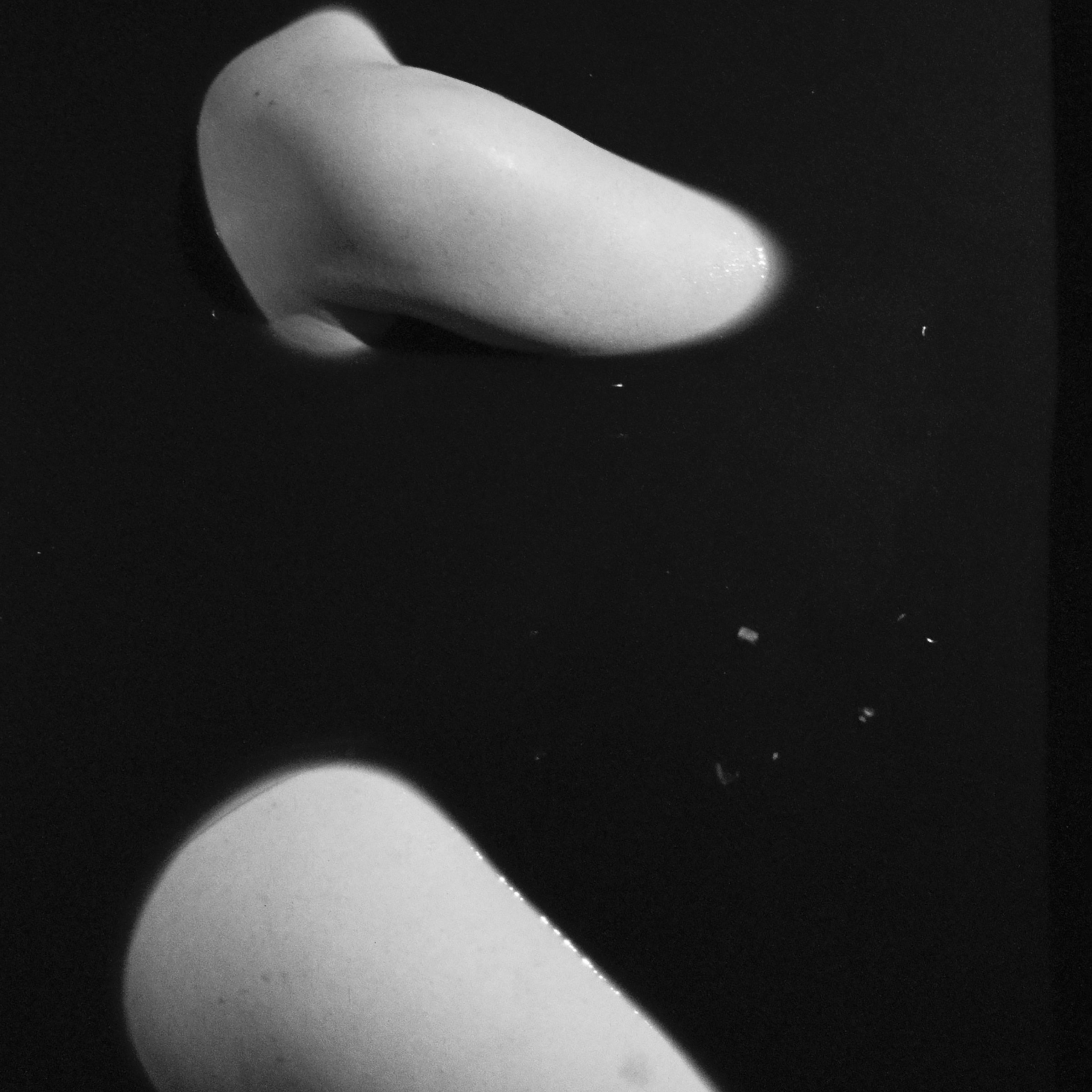 Творческие съемки. Арт-фотограф Вика Шаблий, Санкт-Петербург