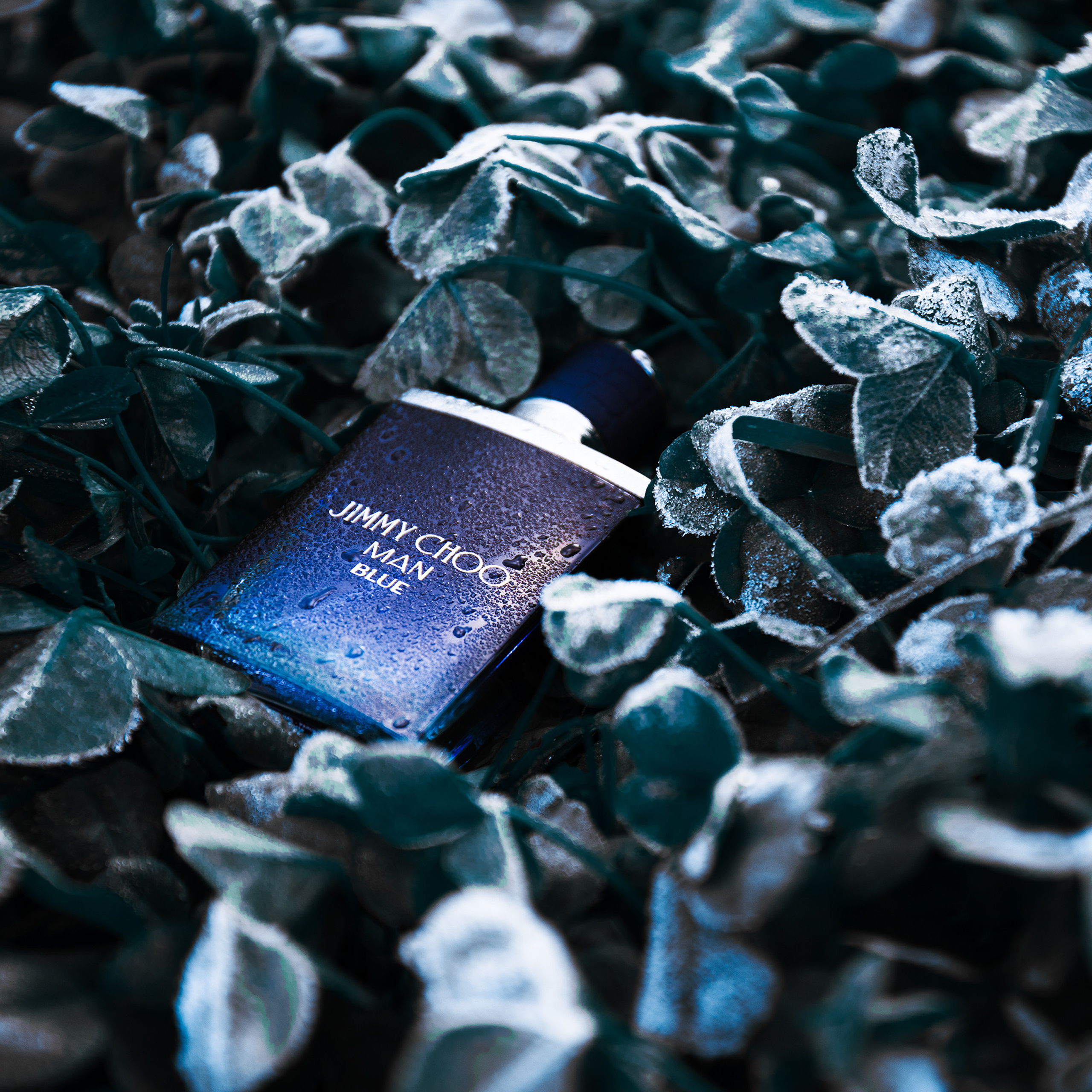 Креативная профессиональная фотосессия Алматы