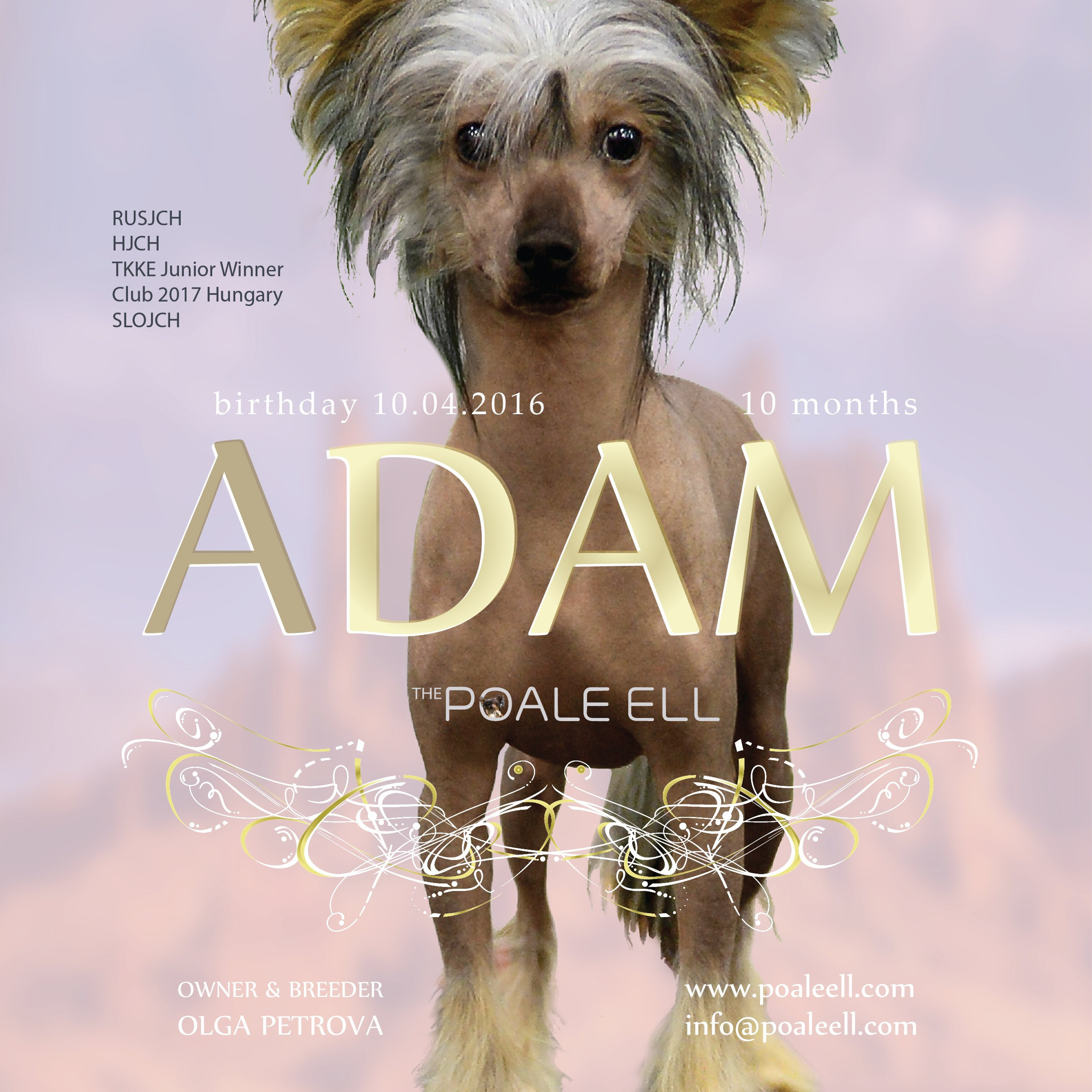 Poale Ell Adam