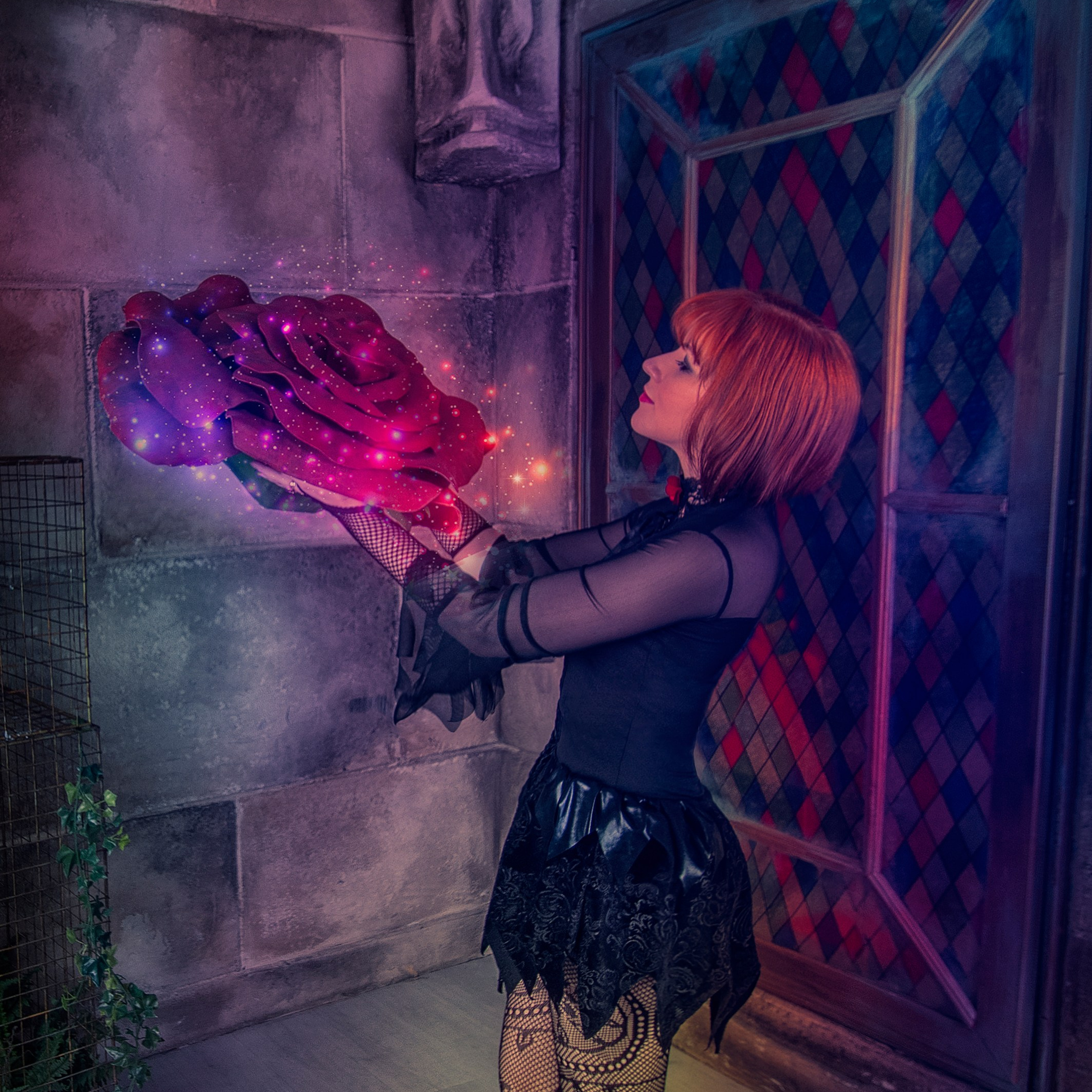 Девушка в черном платье с большим бутоном розы в руках