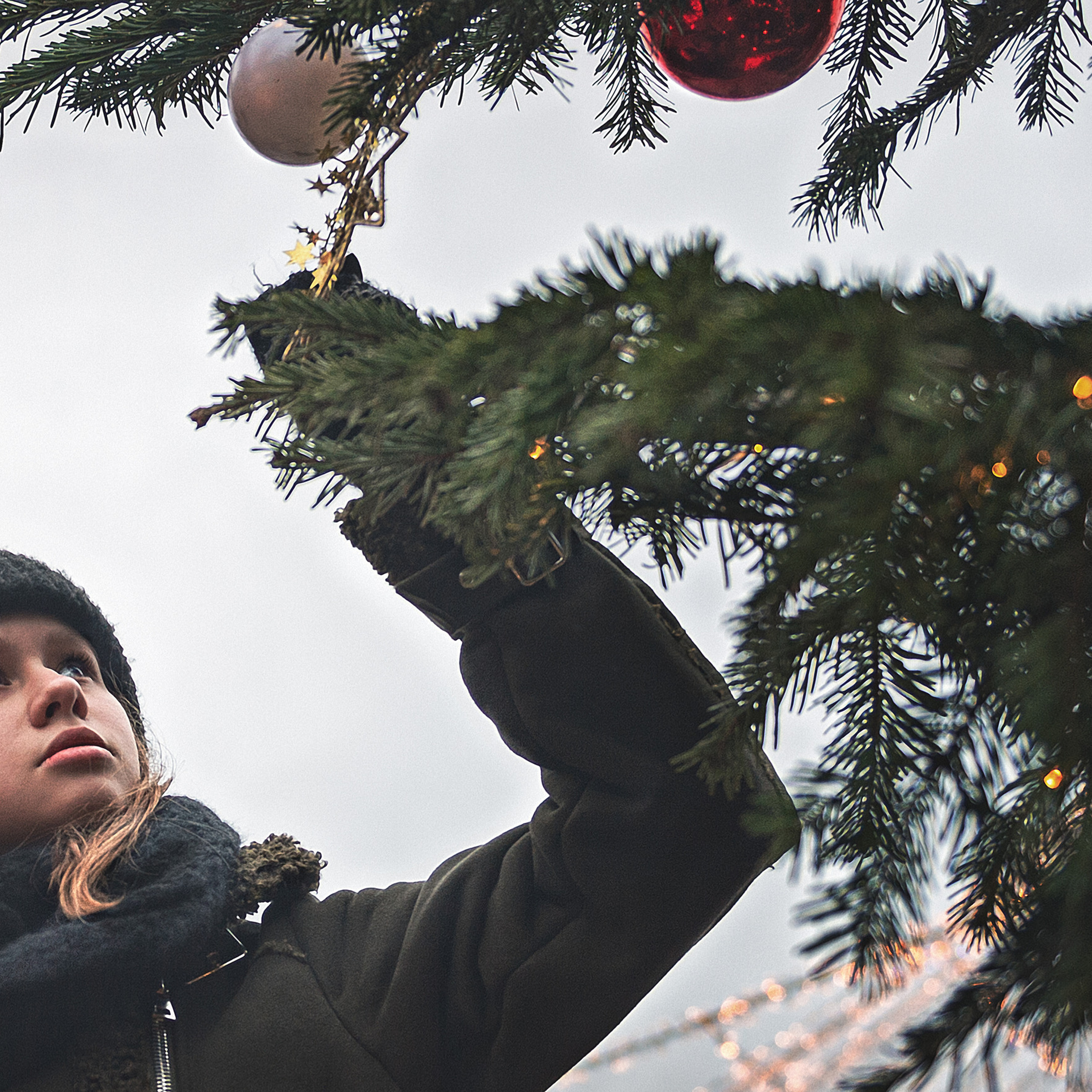 Новогодняя фотосессия