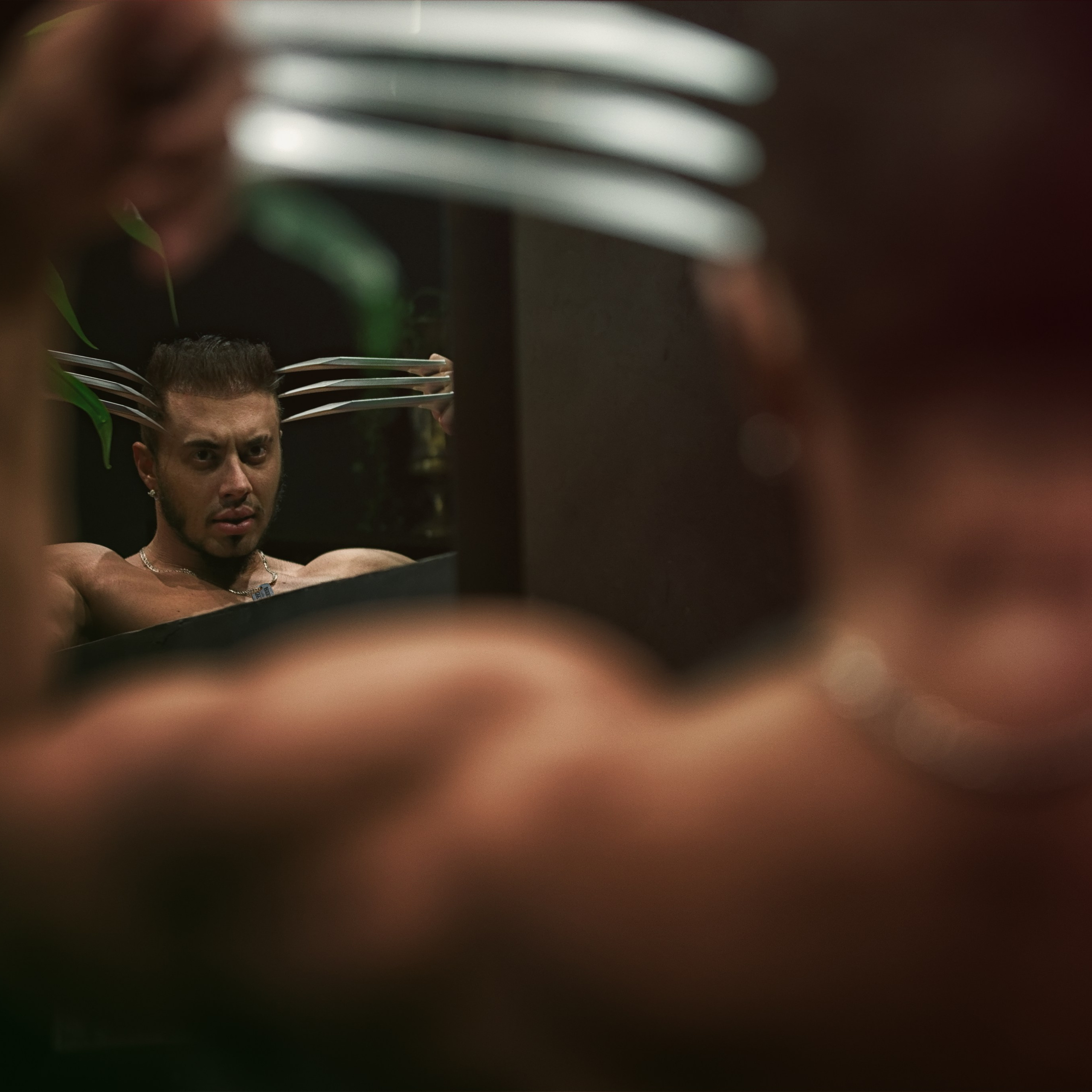 Росомаха смотрит в зеркало