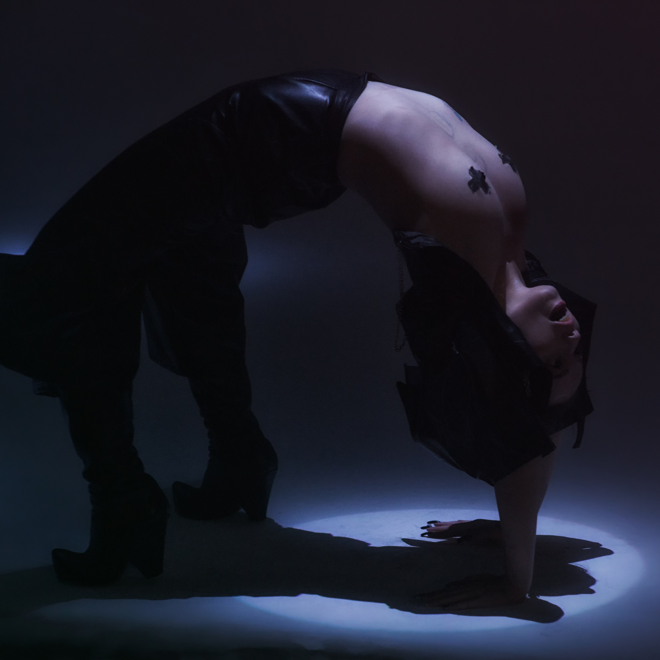 Девушка-акробат демонстрирует свои прелести