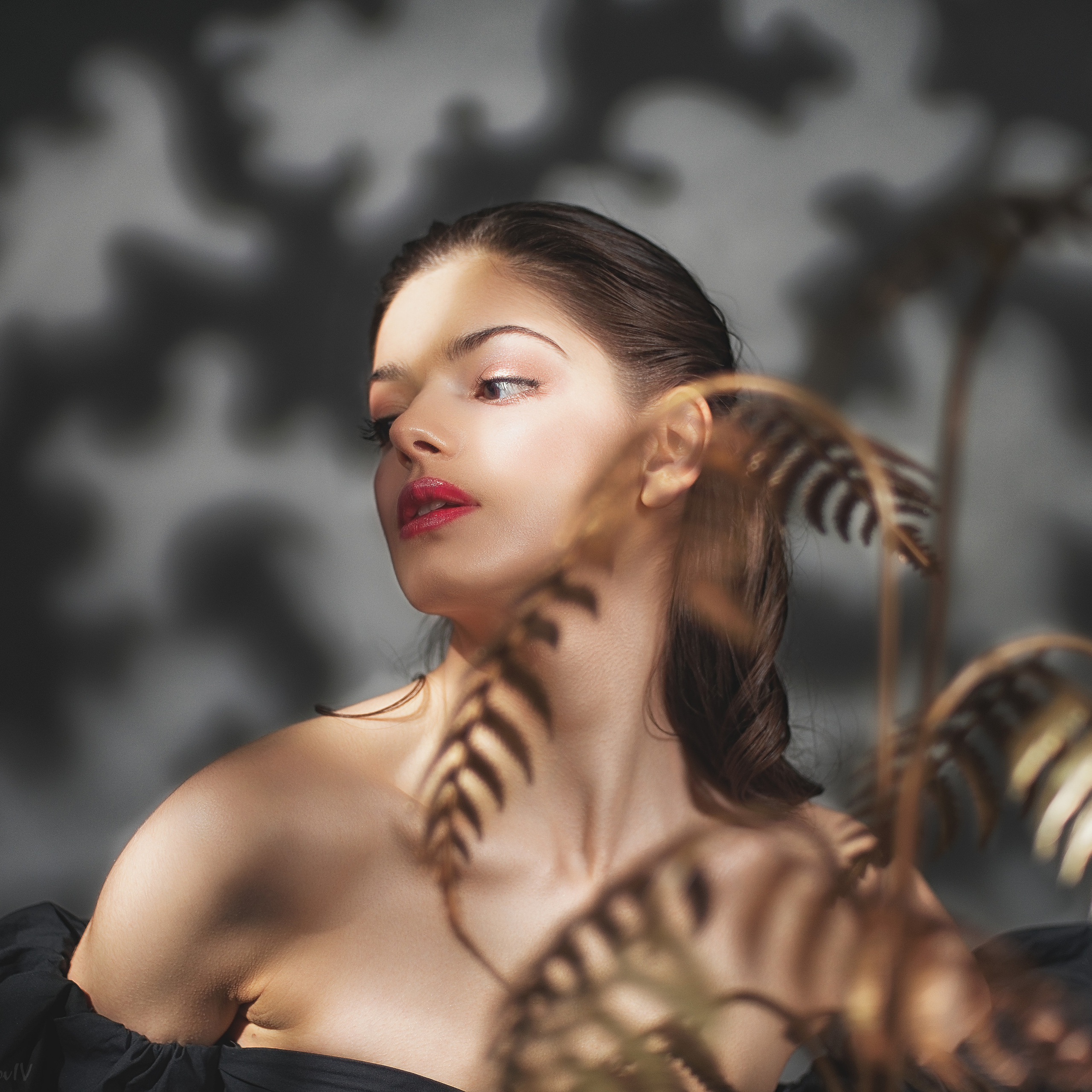 Фотосъемка с тенями