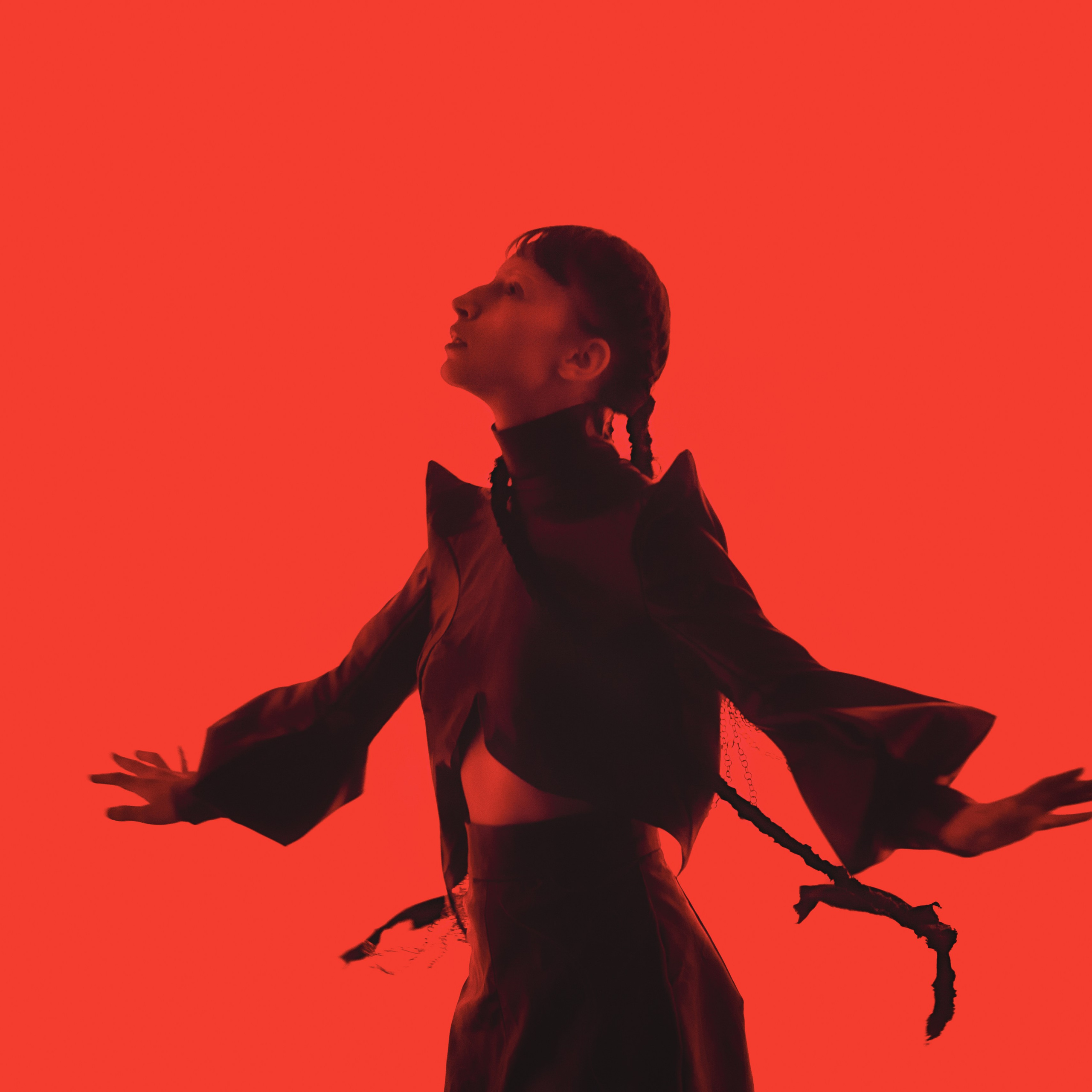 На изображении запечатлена женщина в драматичном образе на ярко-красном фоне. Её поза с поднятыми руками и запрокинутой головой создаёт ощущение свободы и экспрессии. Тёмный силуэт подчёркивает контраст с фоном, добавляя снимку художественности и глубины.Заголовок: «Танец страсти: искусство в движении»Ключевые слова: портретный фотограф в Москве, фотограф Сафронов Иван, художественная фотография, драматический портрет, красный фон, силуэт, экспрессия.