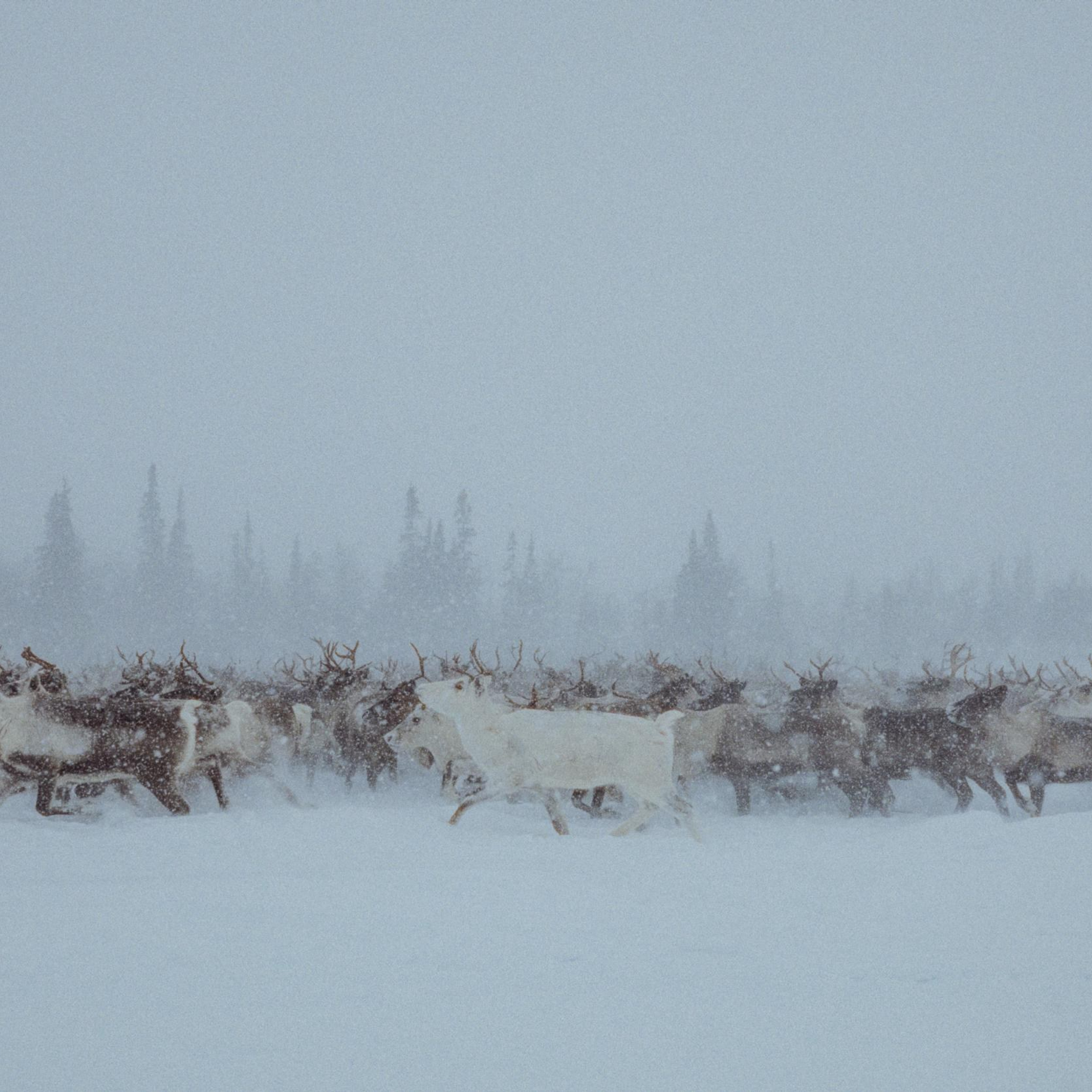 Портреты сотрудников Федерации нард России. Репортажный фотограф в Сочи — Михаил Мордасов