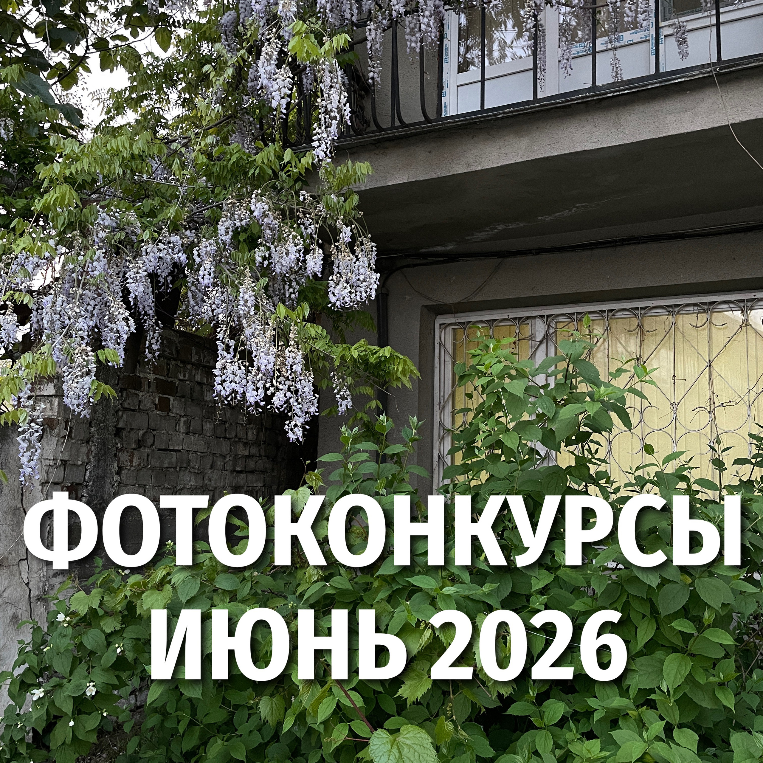 На днях вышел фильм, снятый по мотивам фотопроекта. Репортажный фотограф в Сочи — Михаил Мордасов