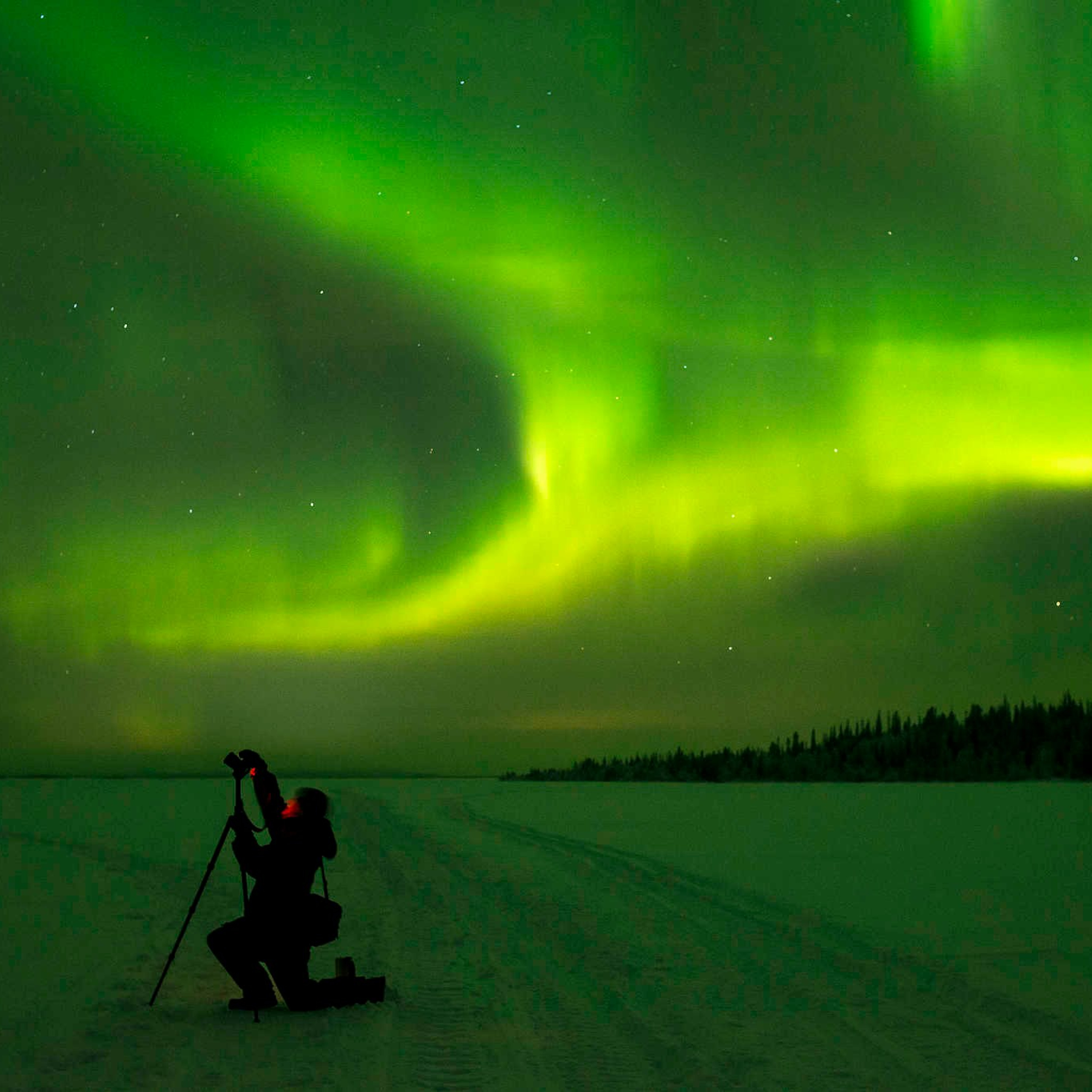 Репортажный фотограф в Сочи — Михаил Мордасов