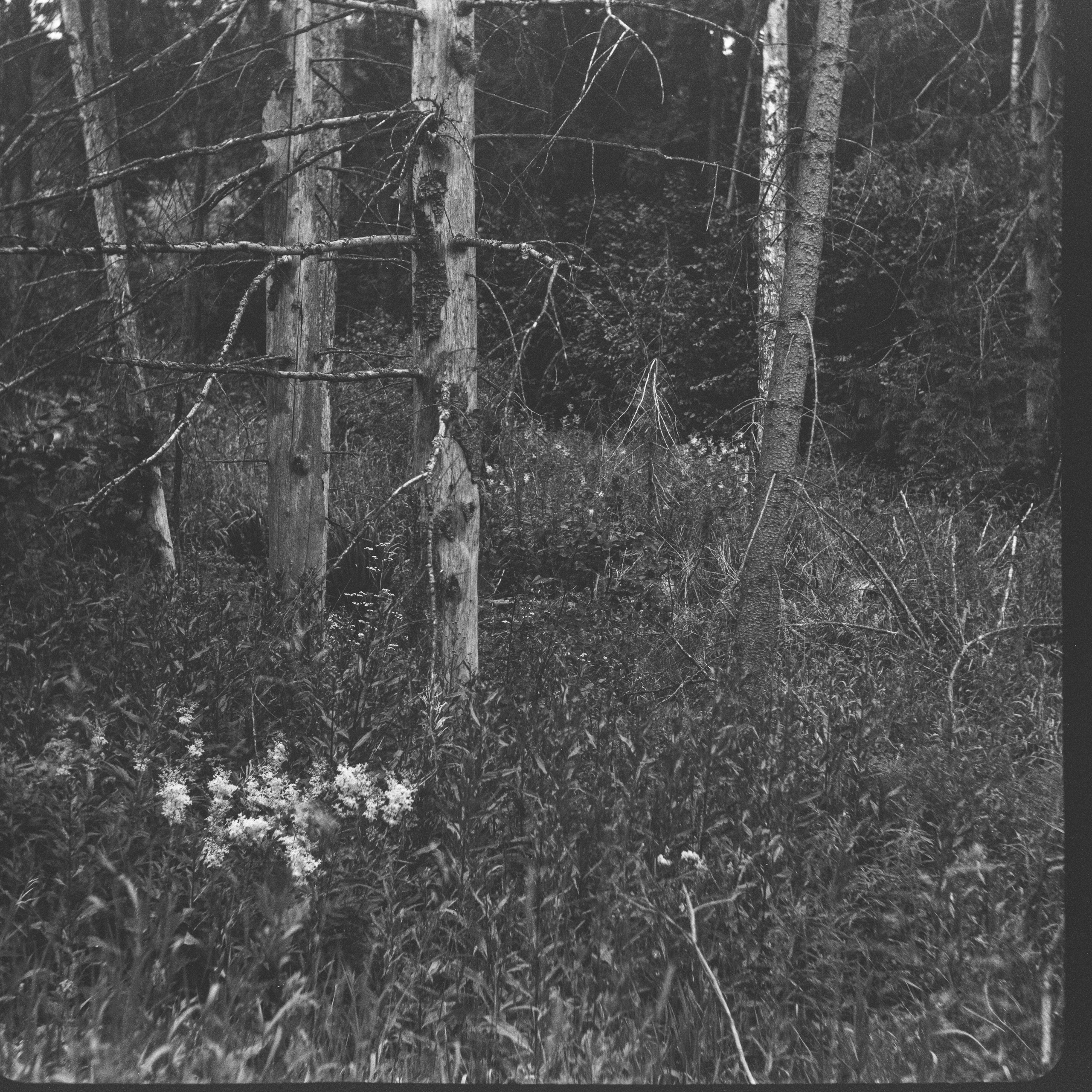 Rodenstock-Trinar 105mm f3.5