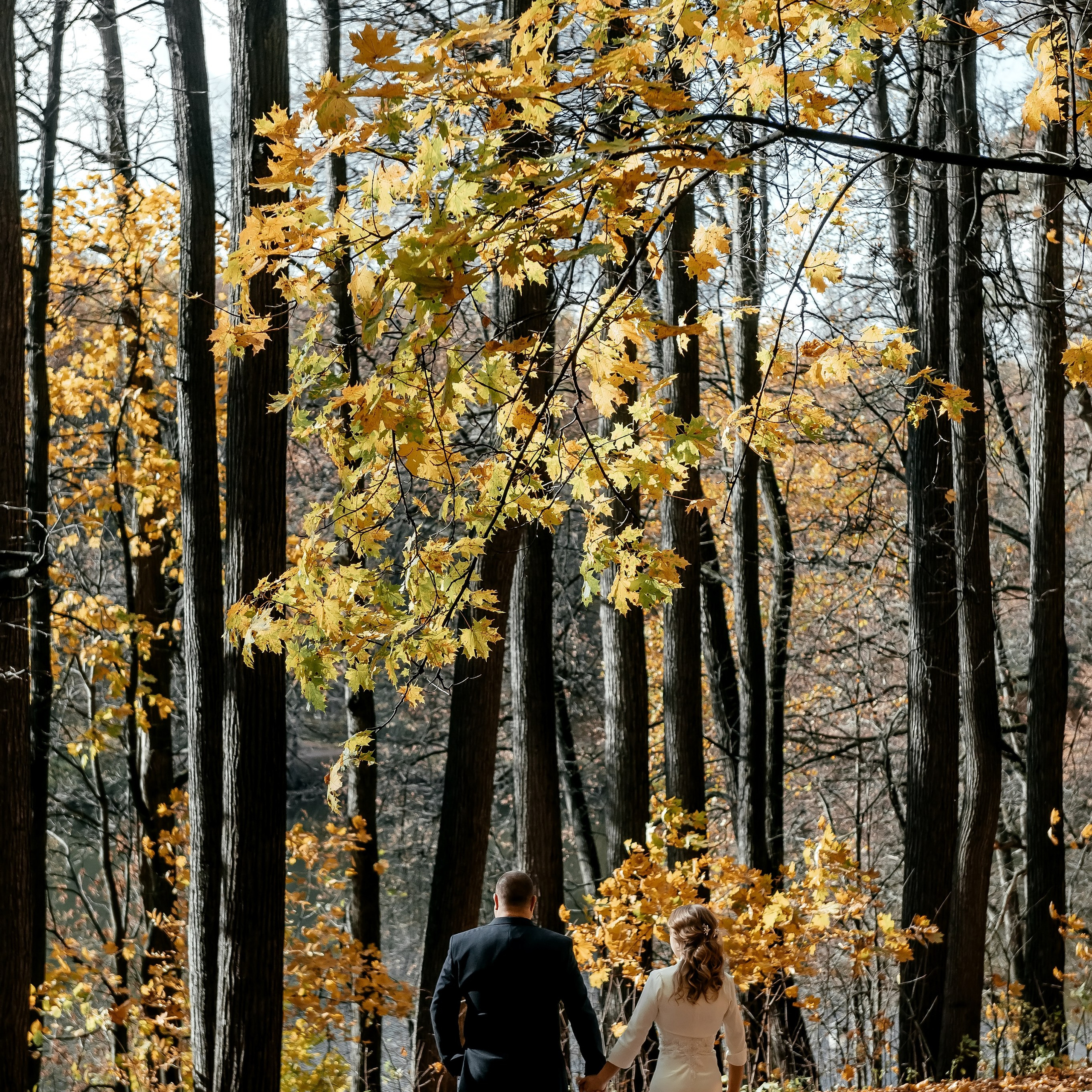 Свадьба в Москве. Места для фотосессии. Свадебный и семейный фотограф Виктория Носачёва. Щелково, Москва и МО