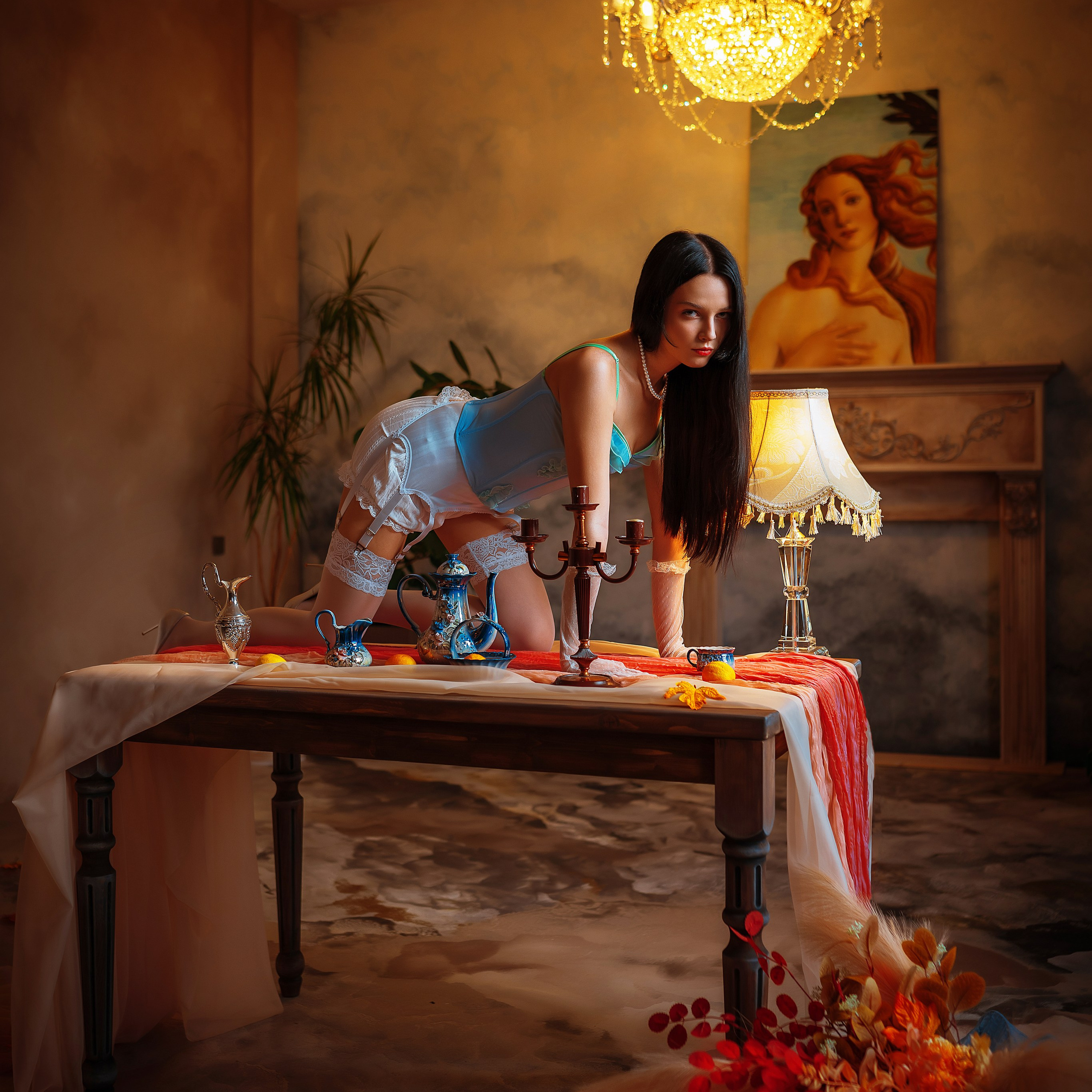 Фотостудия интерьерная в Туле — Давинчи |Davinci