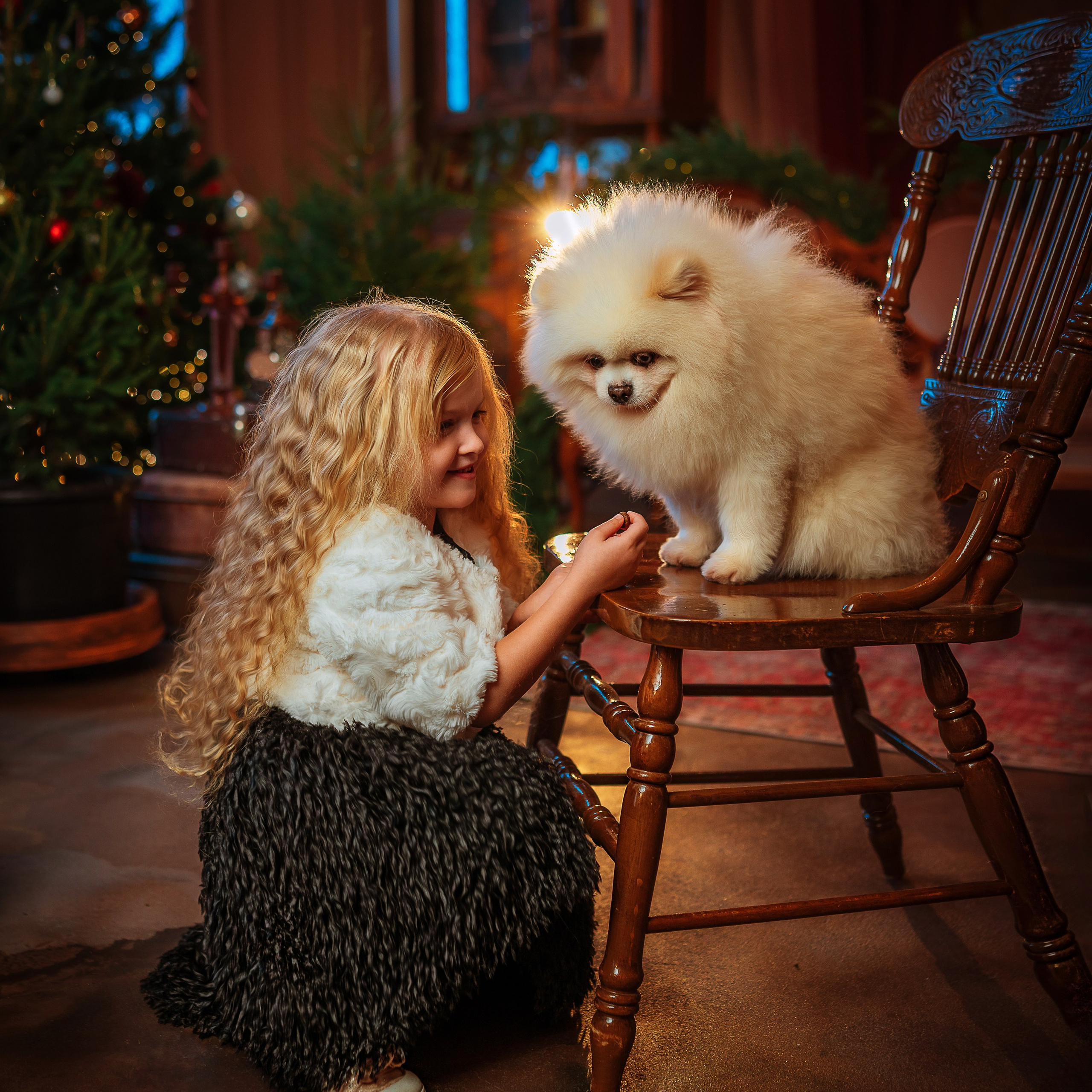 Фотостудия интерьерная в Туле — Давинчи |Davinci