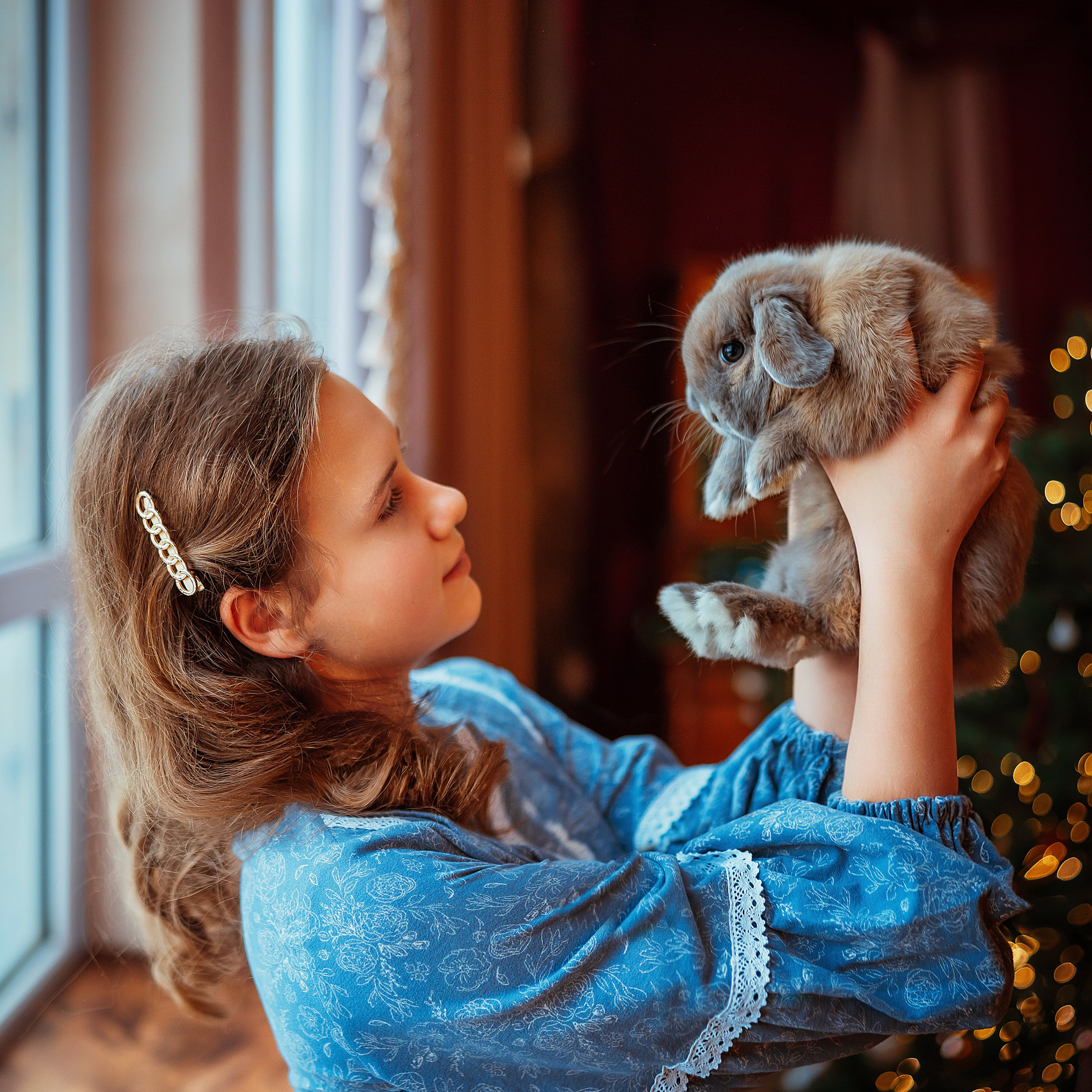 Фотостудия интерьерная в Туле — Давинчи |Davinci