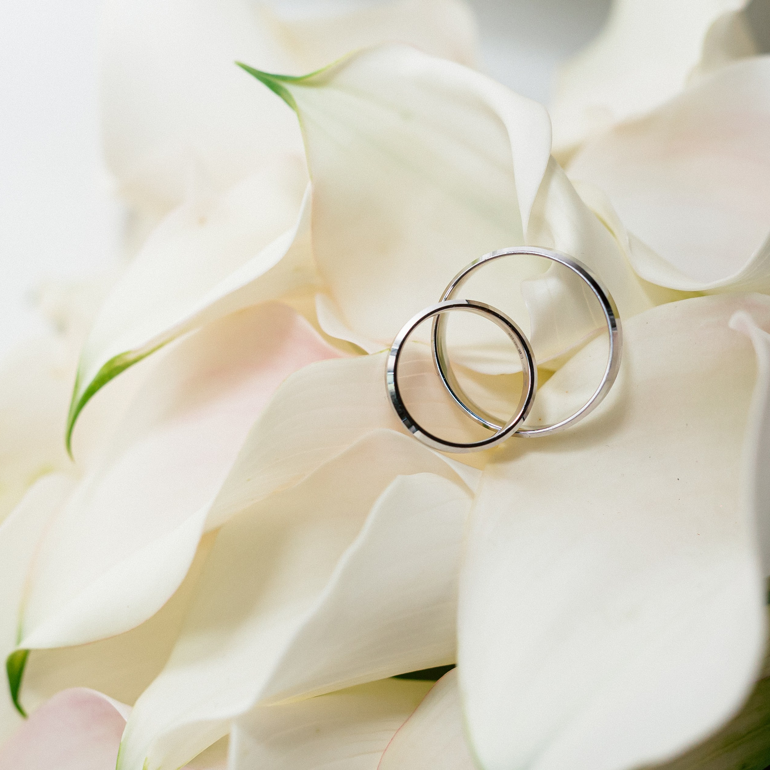 Свадебные съемки 2026. Твой фотограф Алина Кочергина