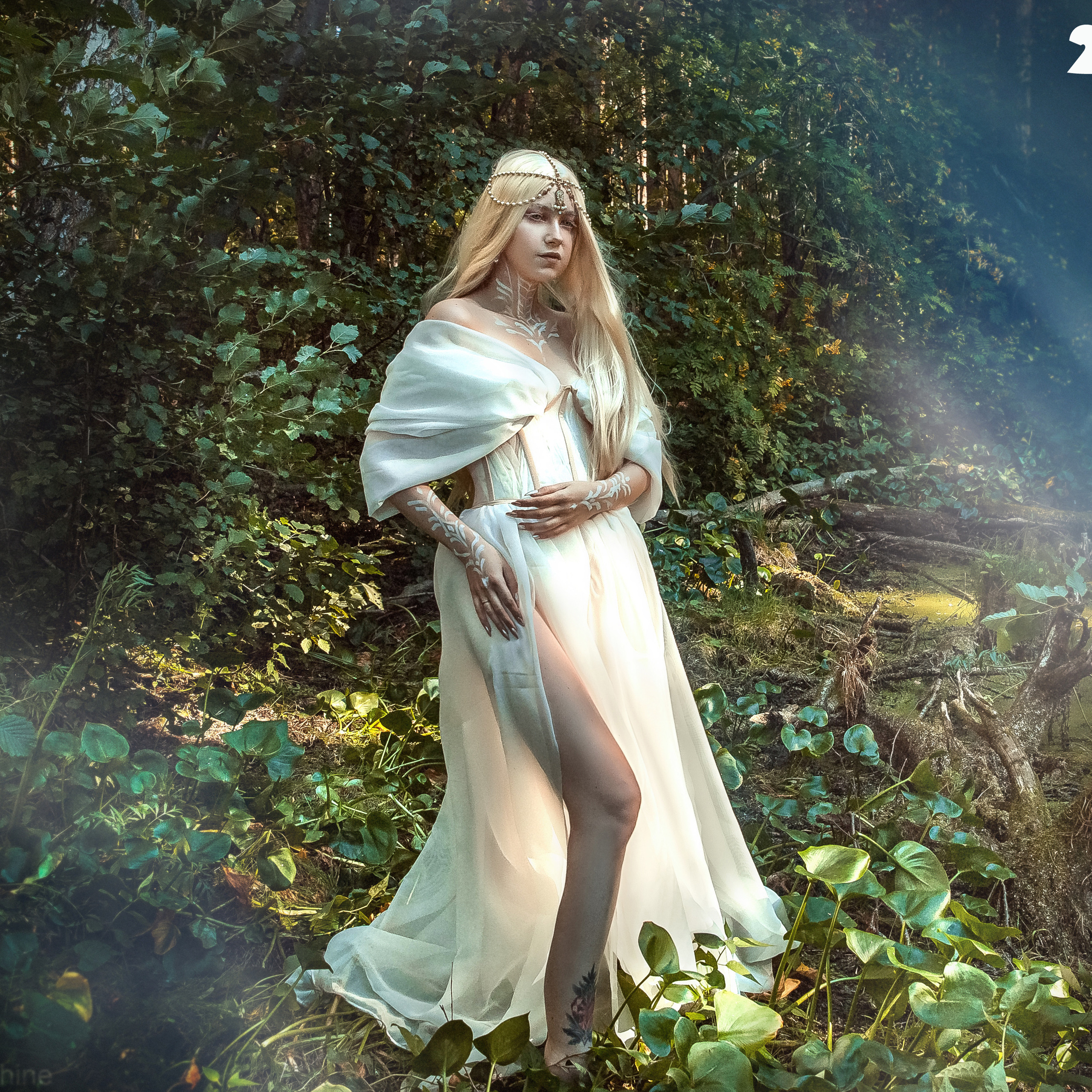 Открытки. Фотограф для маркетплейсов Михаил Бове