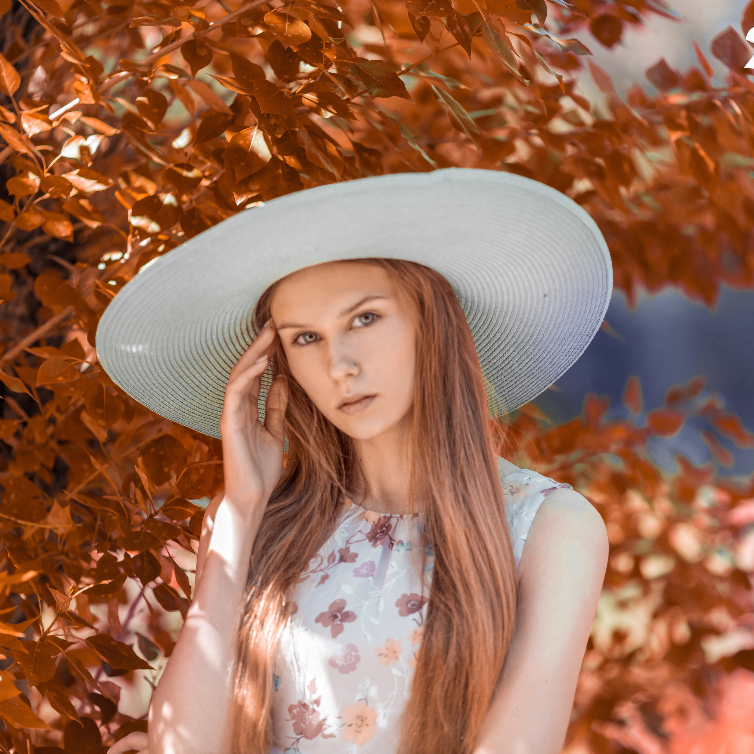 Открытки. Фотограф для маркетплейсов Михаил Бове