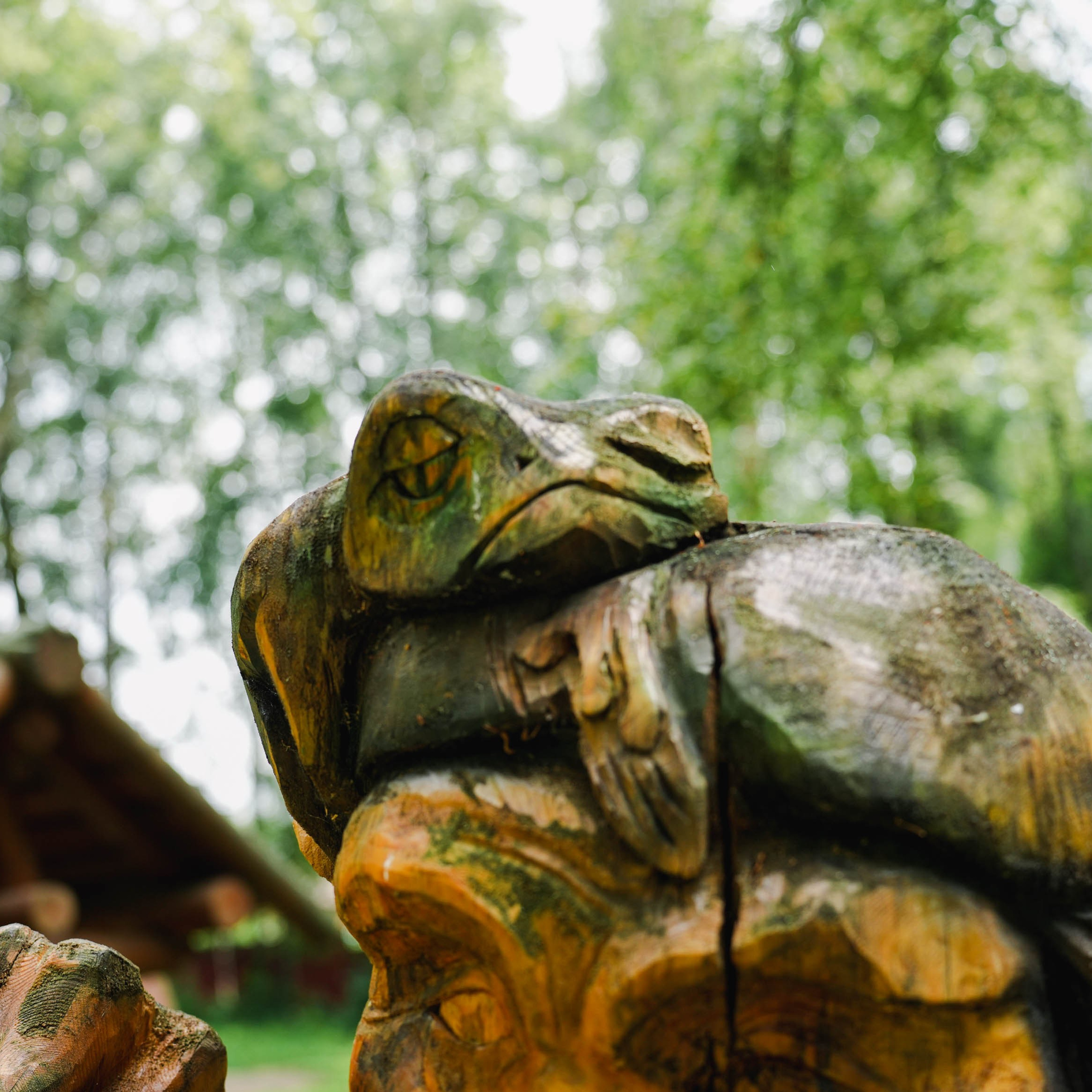 Парк «Михайловская сказка». Спортивный и репортажный фотограф в Иваново Сергей Силкин