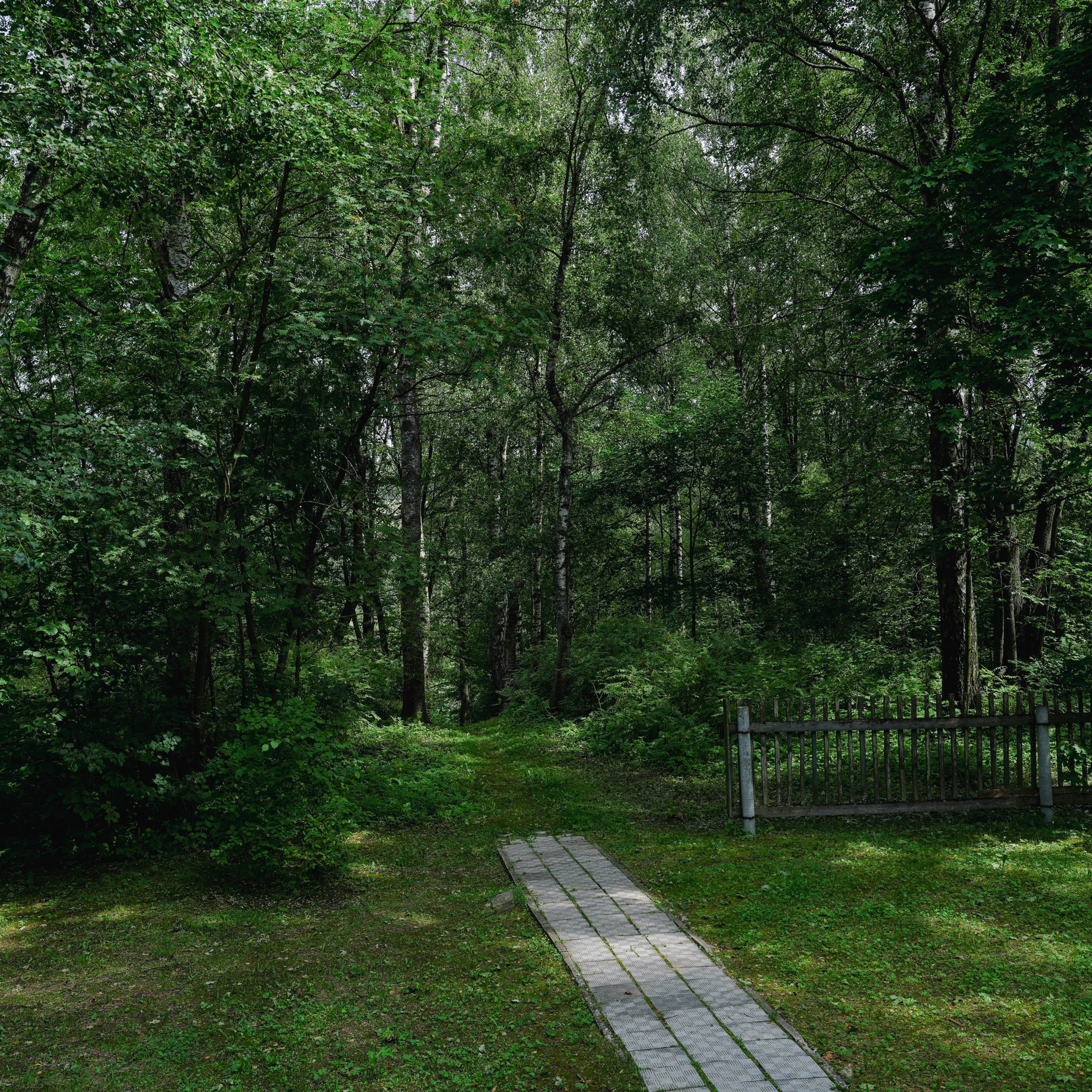 КРОКЕТ, ПОДПОЛЬНАЯ ТИПОГРАФИЯ И ПЕРВАЯ ДЕРЕВЕНСКАЯ ЭЛЕКТРОСТАНЦИЯ. ИСТОРИЯ УСАДЬБЫ ГАНШИНА. Спортивный и репортажный фотограф в Иваново Сергей Силкин