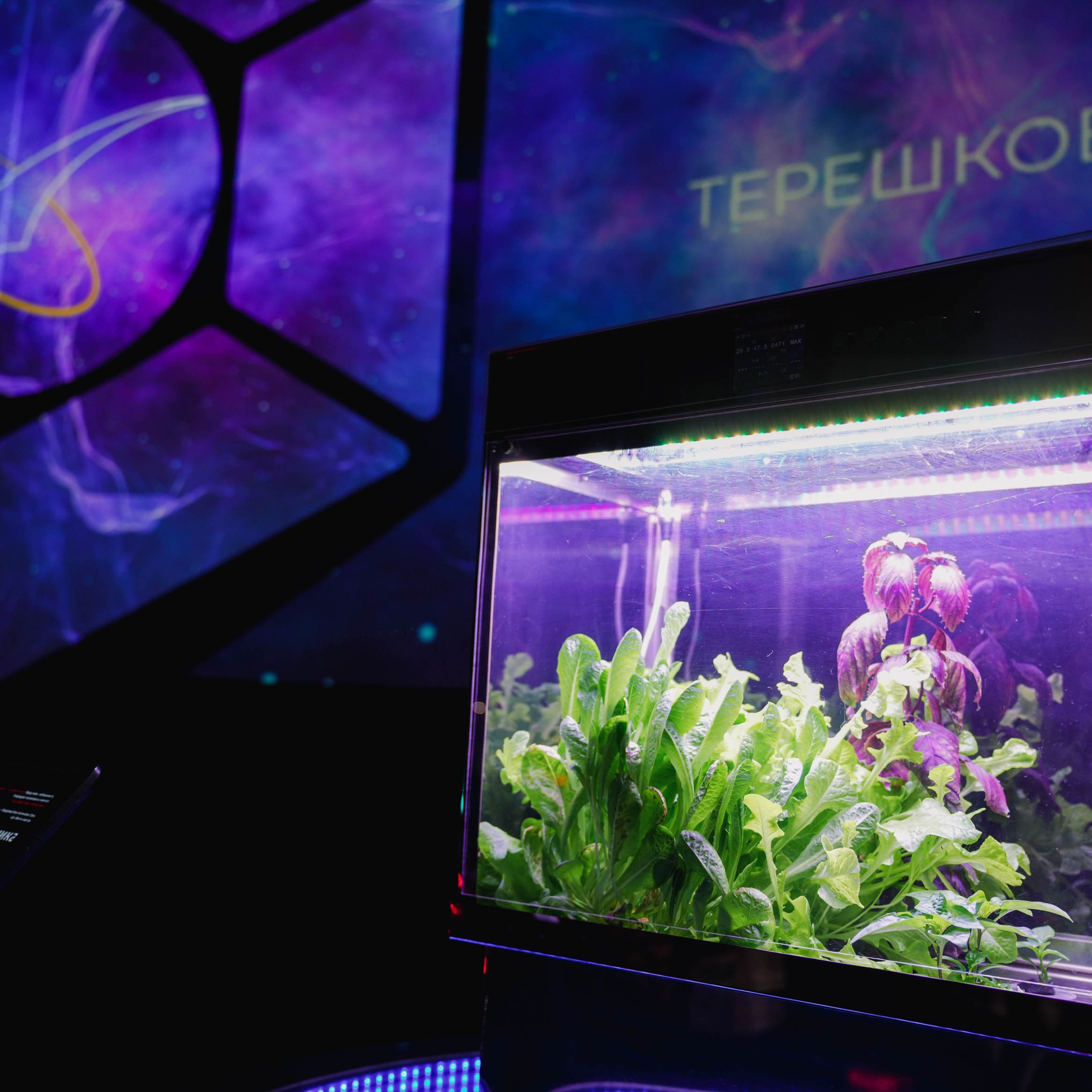 Музей «Космос» В. В. Терешковой посёлок Никульское, Ярославской области. Спортивный и репортажный фотограф в Иваново Сергей Силкин