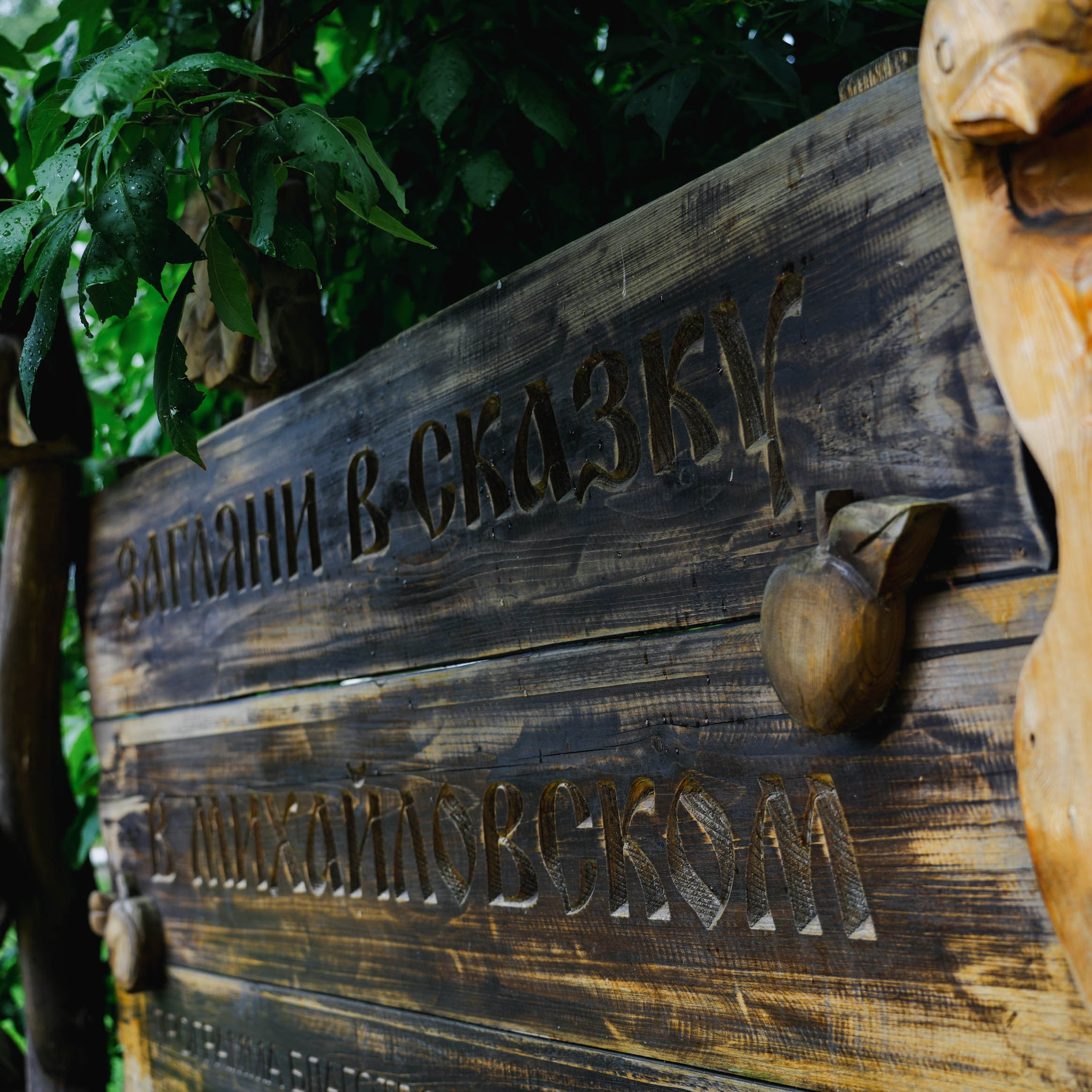 Парк «Михайловская сказка». Спортивный и репортажный фотограф в Иваново Сергей Силкин