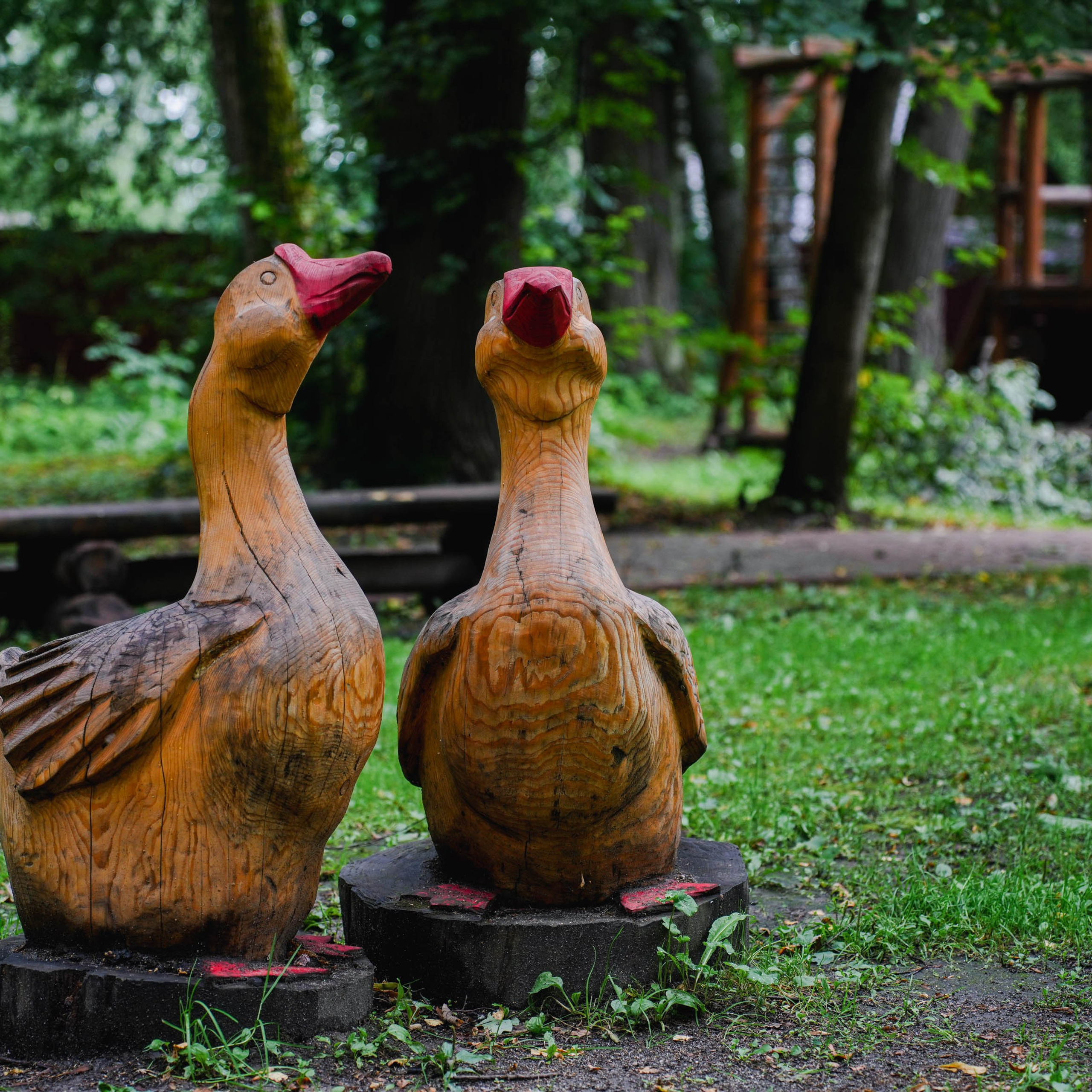 Парк «Михайловская сказка». Спортивный и репортажный фотограф в Иваново Сергей Силкин