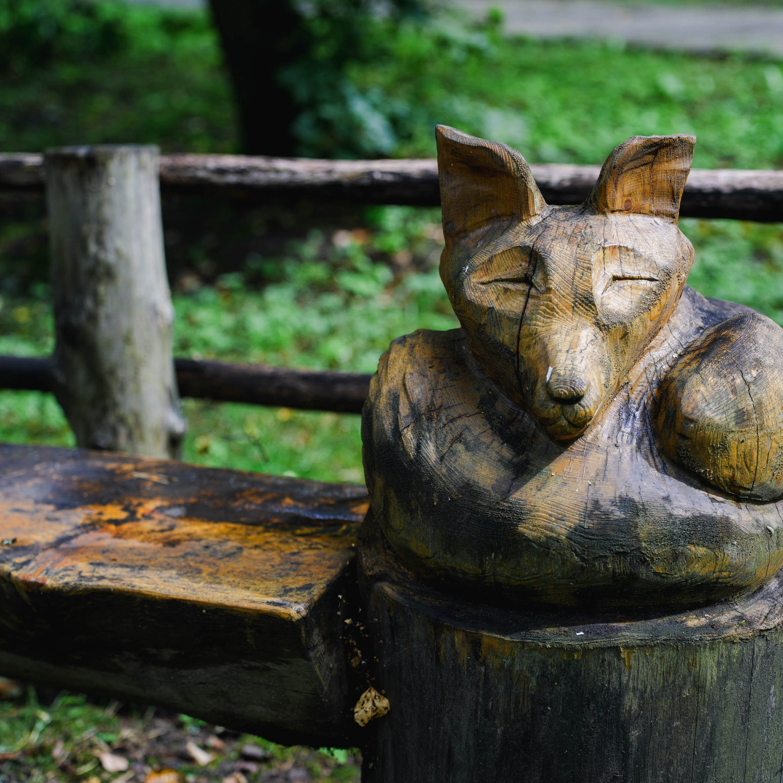 Парк «Михайловская сказка». Спортивный и репортажный фотограф в Иваново Сергей Силкин