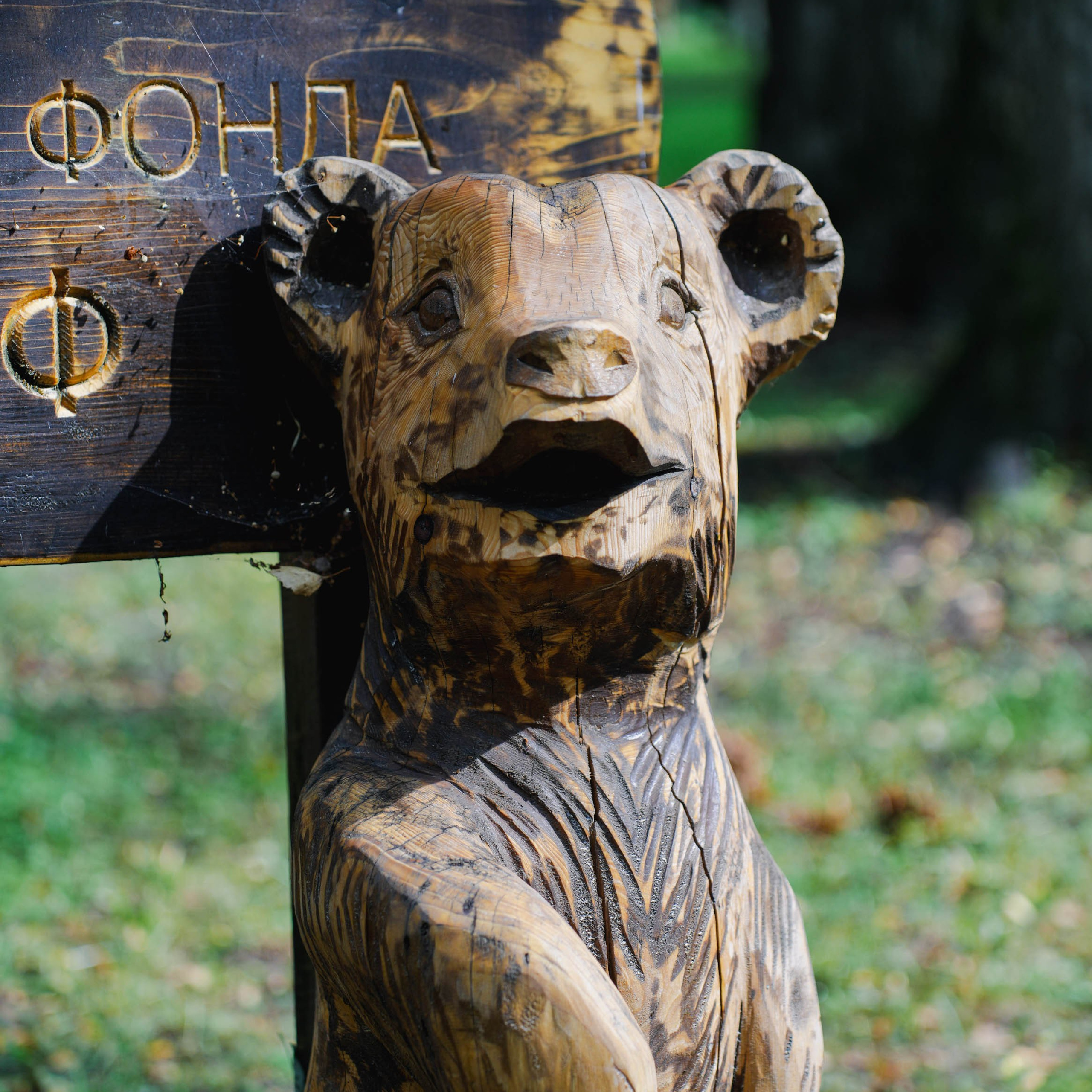 Парк «Михайловская сказка». Спортивный и репортажный фотограф в Иваново Сергей Силкин