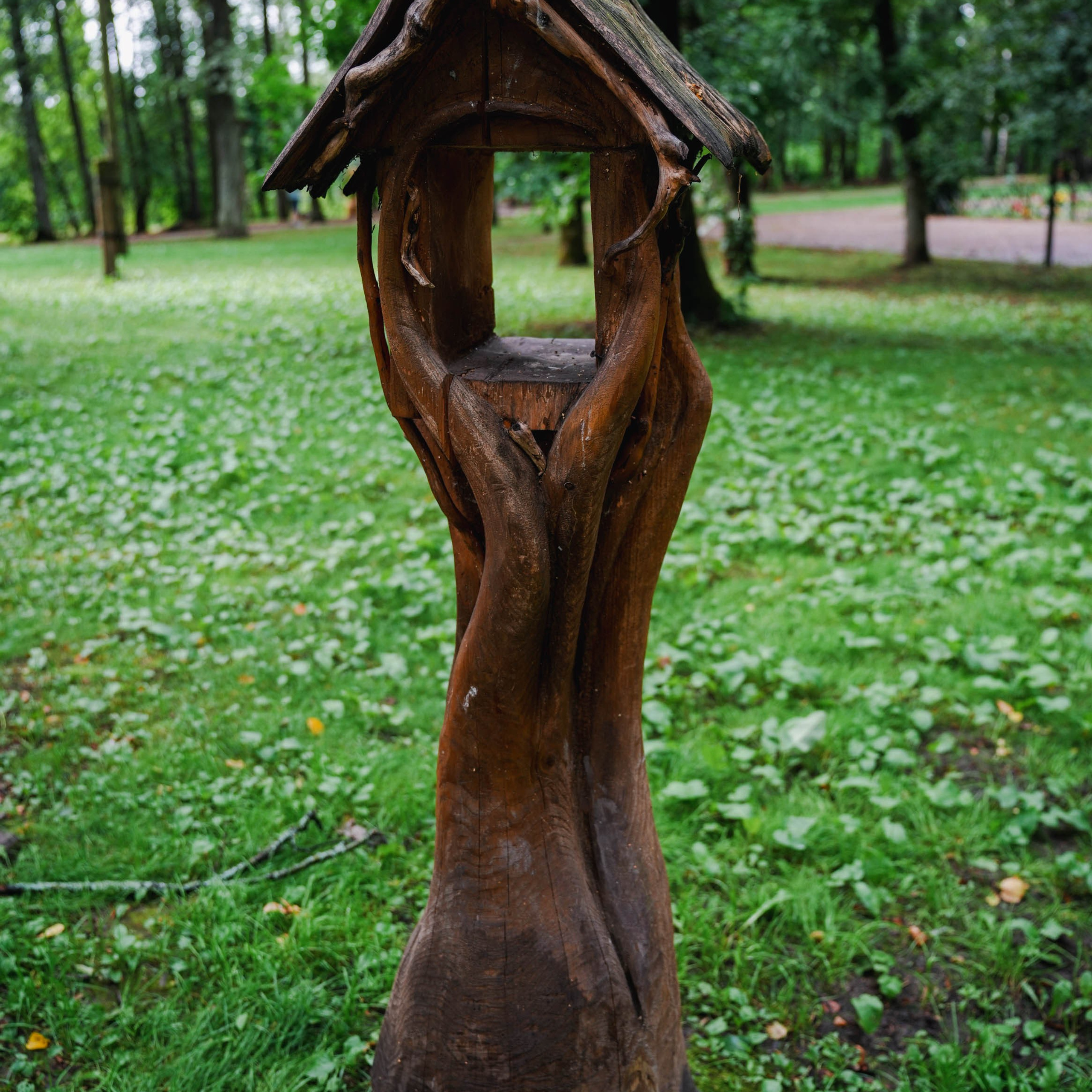 Парк «Михайловская сказка». Спортивный и репортажный фотограф в Иваново Сергей Силкин