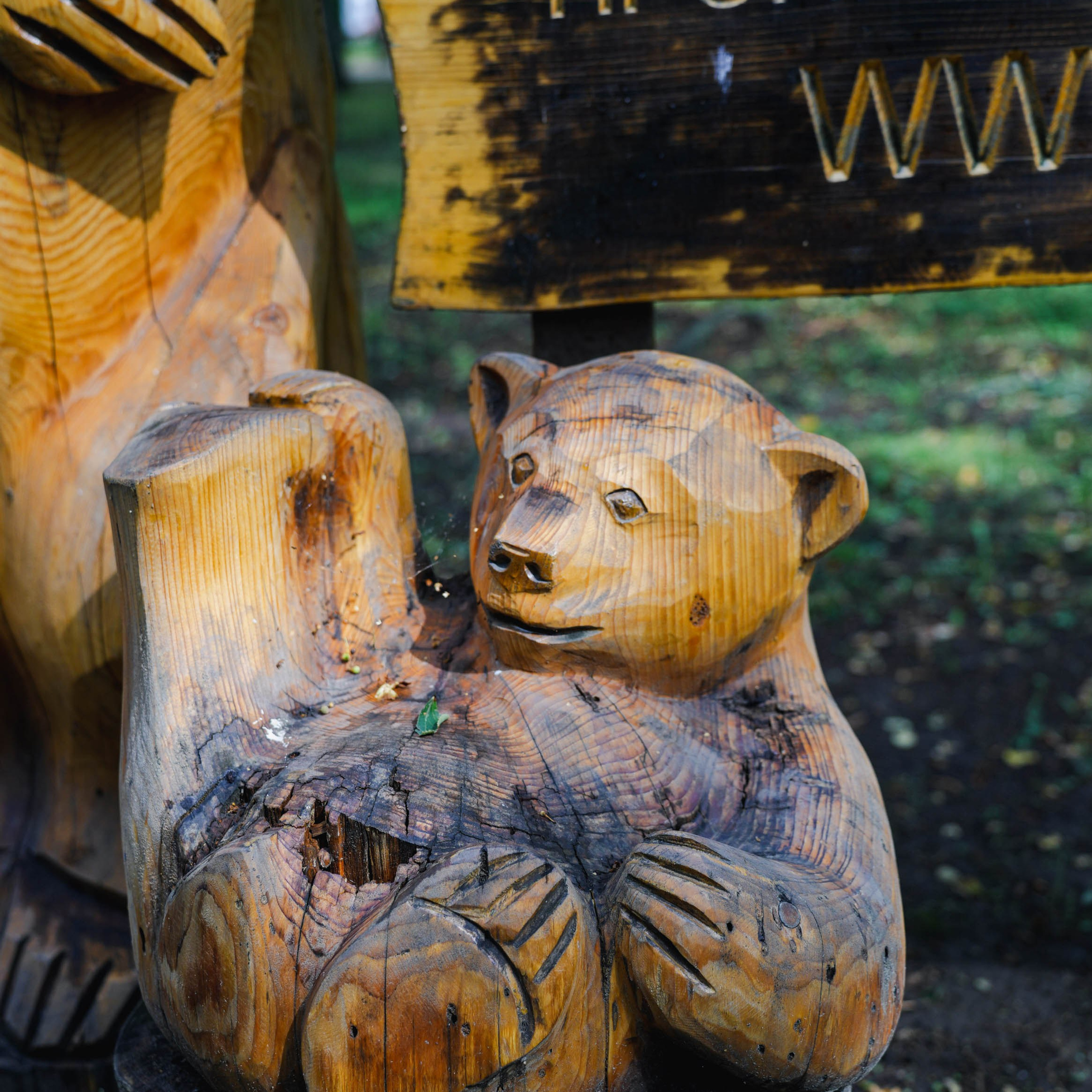 Парк «Михайловская сказка». Спортивный и репортажный фотограф в Иваново Сергей Силкин