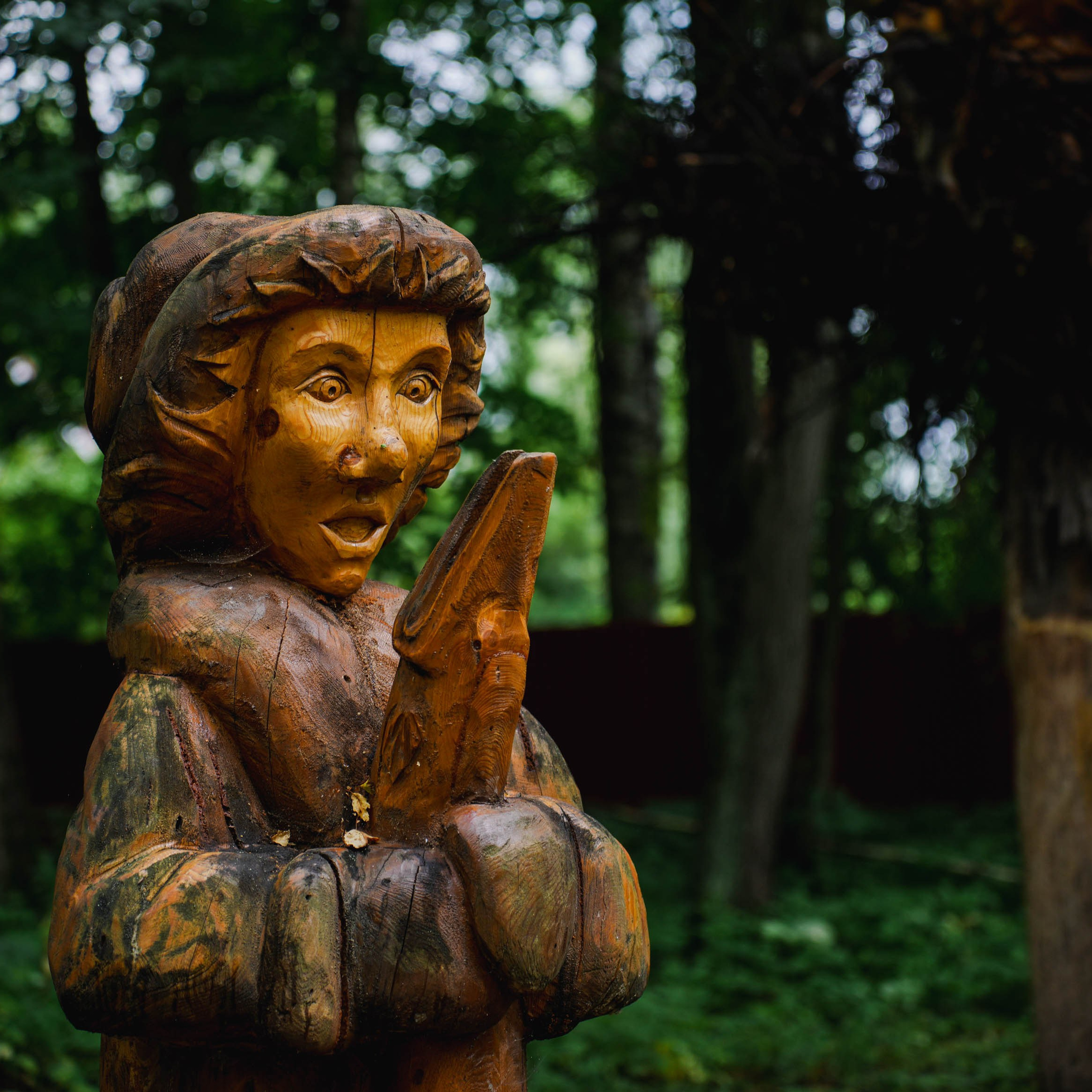 Парк «Михайловская сказка». Спортивный и репортажный фотограф в Иваново Сергей Силкин