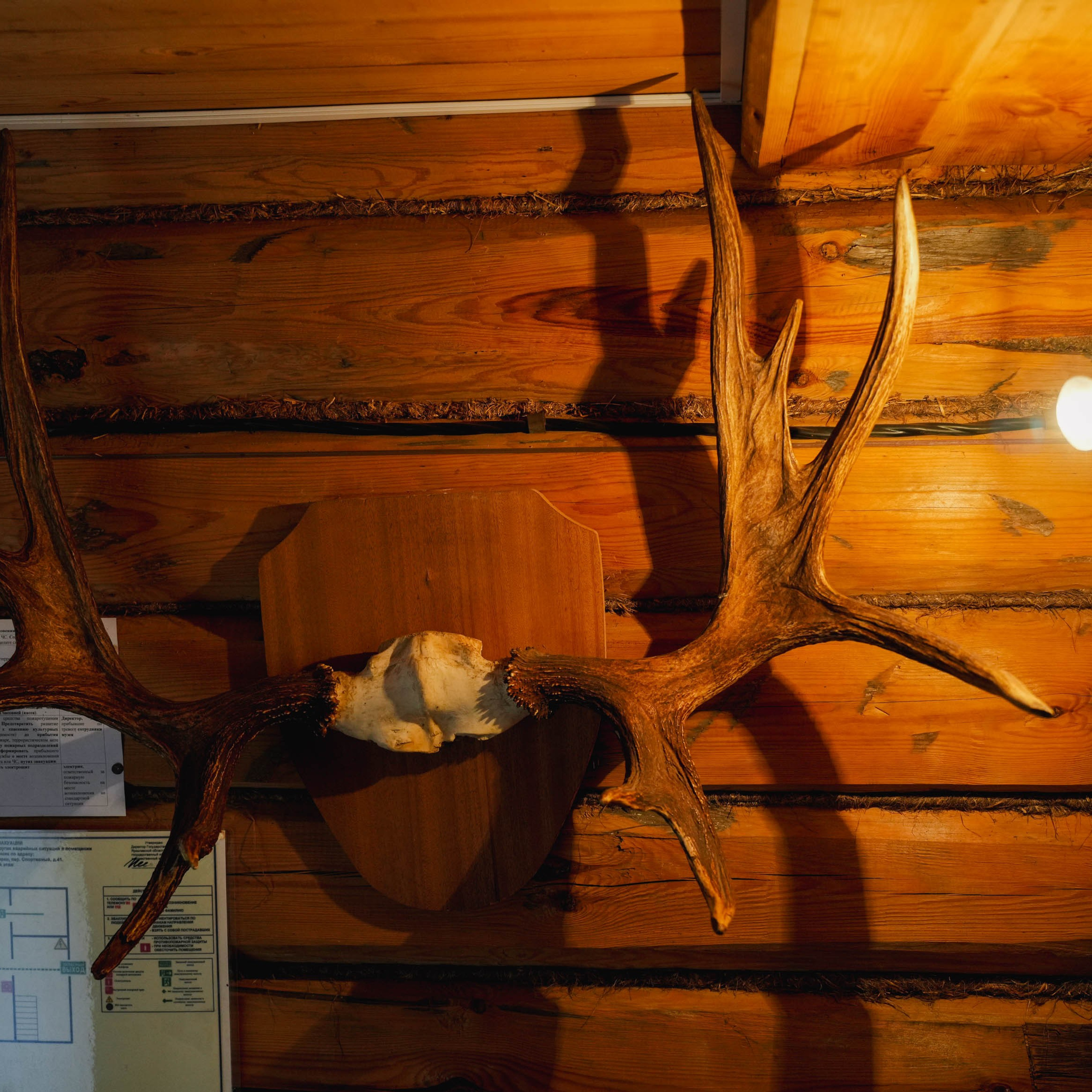 КРОКЕТ, ПОДПОЛЬНАЯ ТИПОГРАФИЯ И ПЕРВАЯ ДЕРЕВЕНСКАЯ ЭЛЕКТРОСТАНЦИЯ. ИСТОРИЯ УСАДЬБЫ ГАНШИНА. Спортивный и репортажный фотограф в Иваново Сергей Силкин