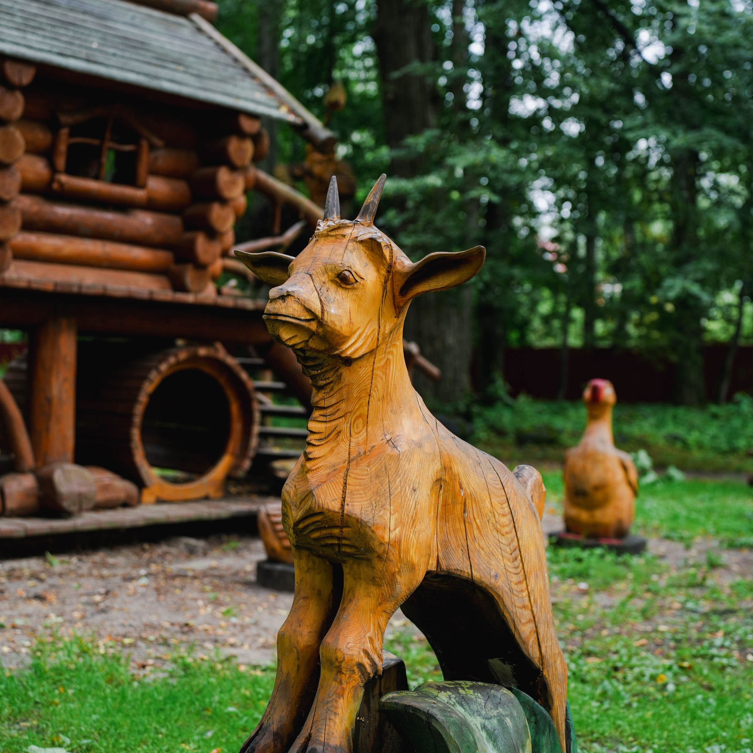 Парк «Михайловская сказка». Спортивный и репортажный фотограф в Иваново Сергей Силкин