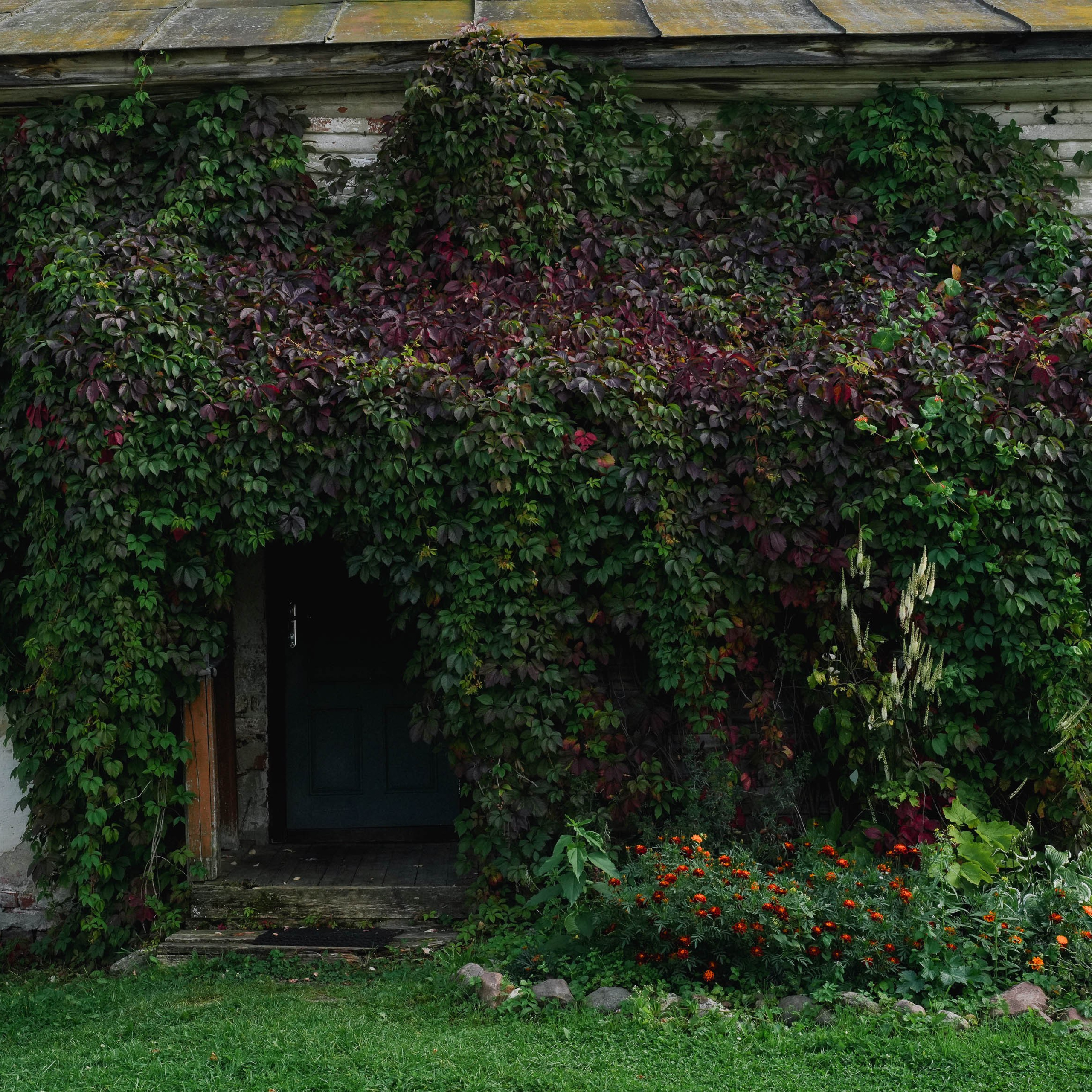 Ростовский Борисоглебский монастырь. Спортивный и репортажный фотограф в Иваново Сергей Силкин