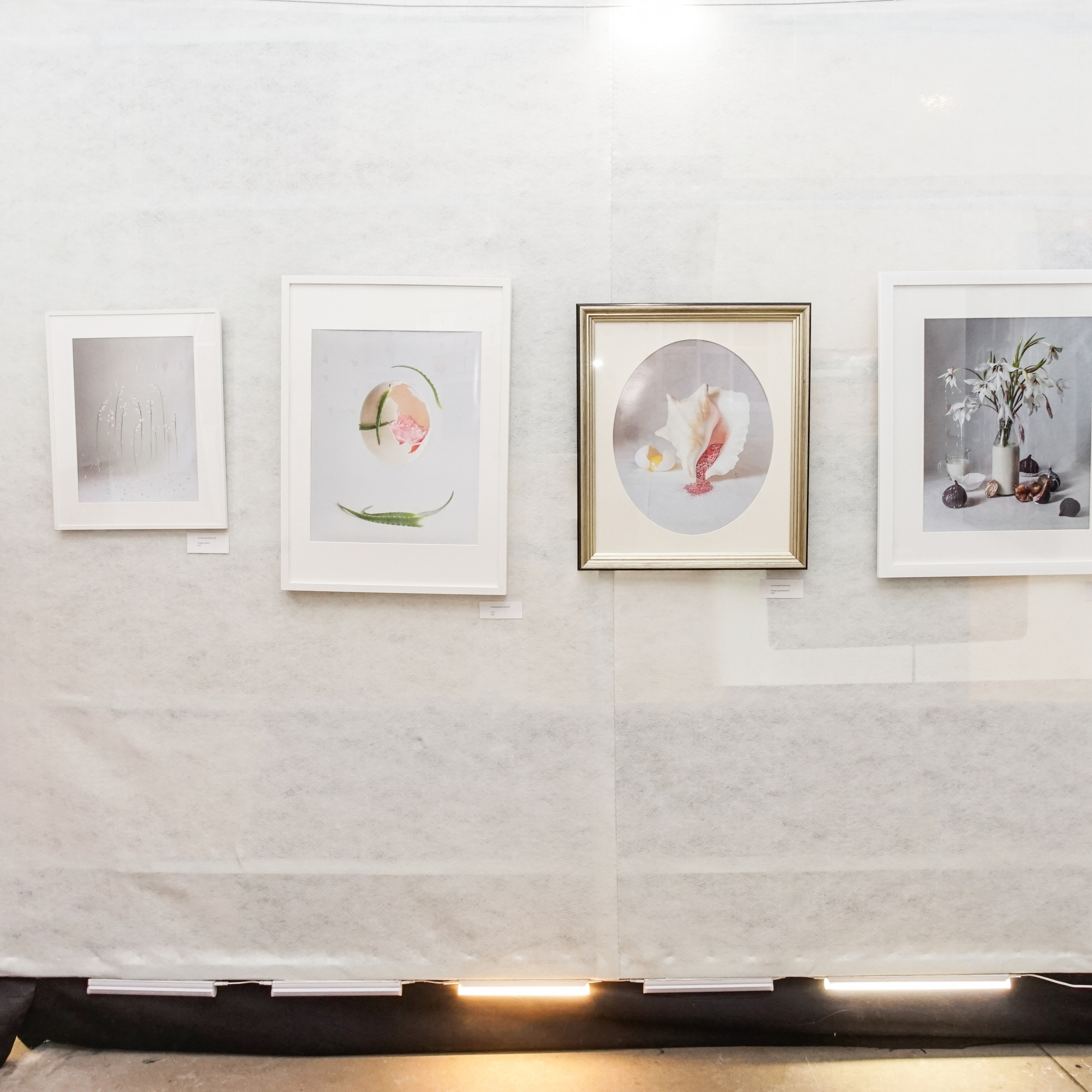 Выставка «Фенилэтиламин+эндорфины+окситоцин». Козлова Екатерина. Междисциплинарная визуальная художница