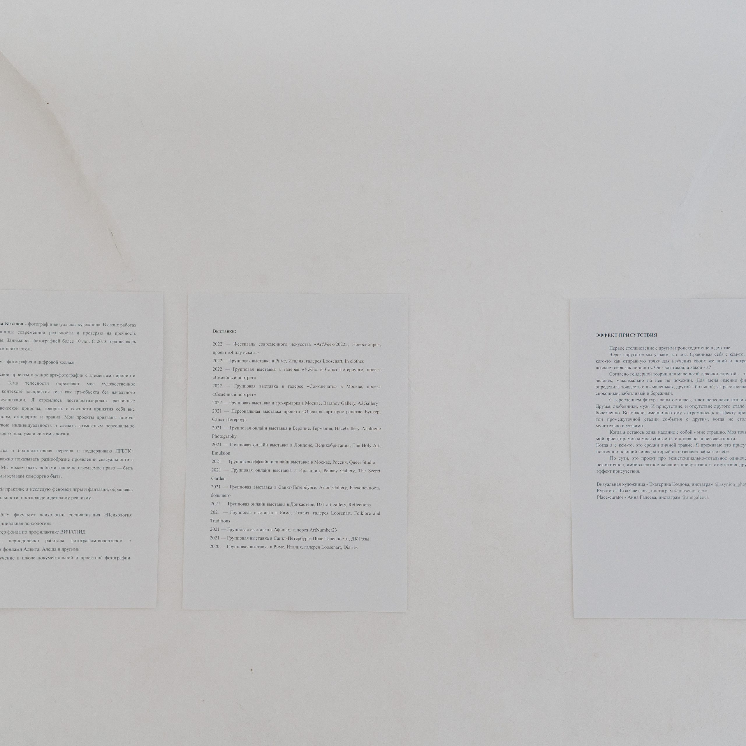 Эффект присутствия. Козлова Екатерина. Междисциплинарная визуальная художница