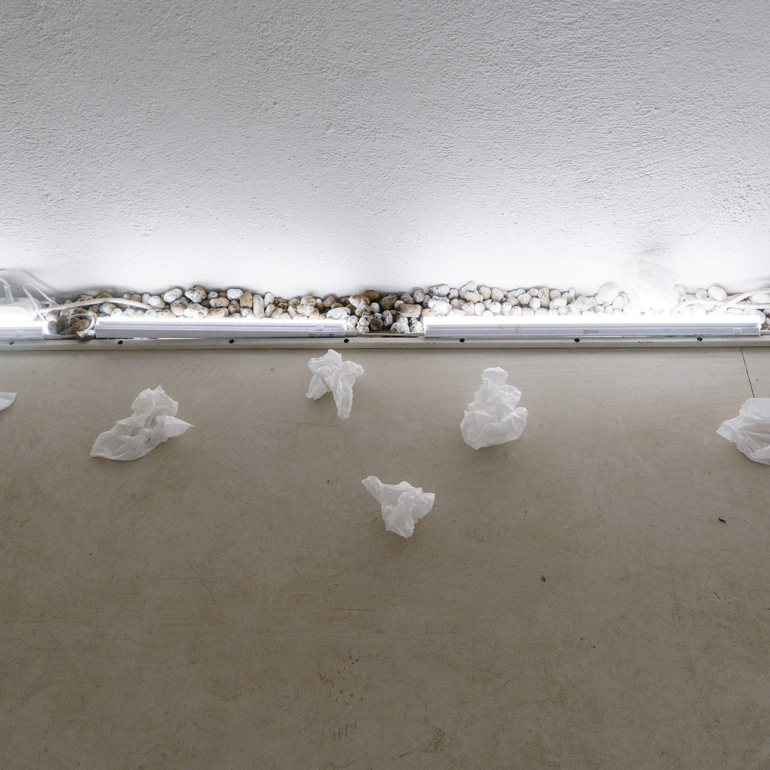 Эффект присутствия. Козлова Екатерина. Междисциплинарная визуальная художница