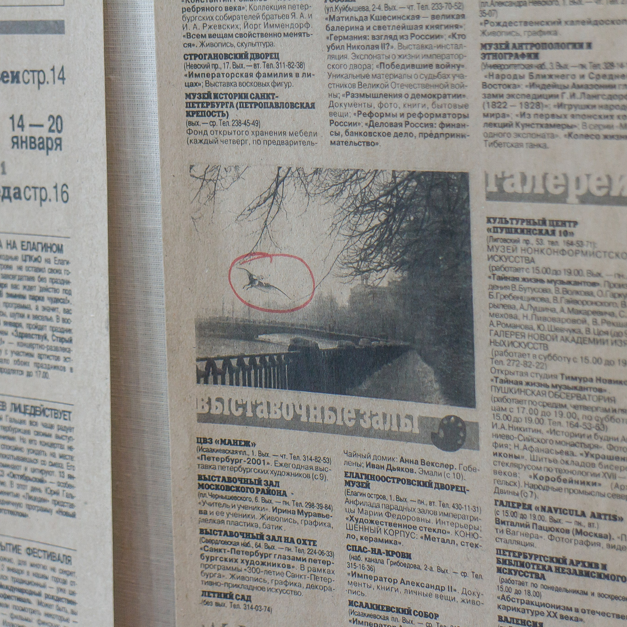 Что еще от нас скрывали. Козлова Екатерина. Междисциплинарная визуальная художница