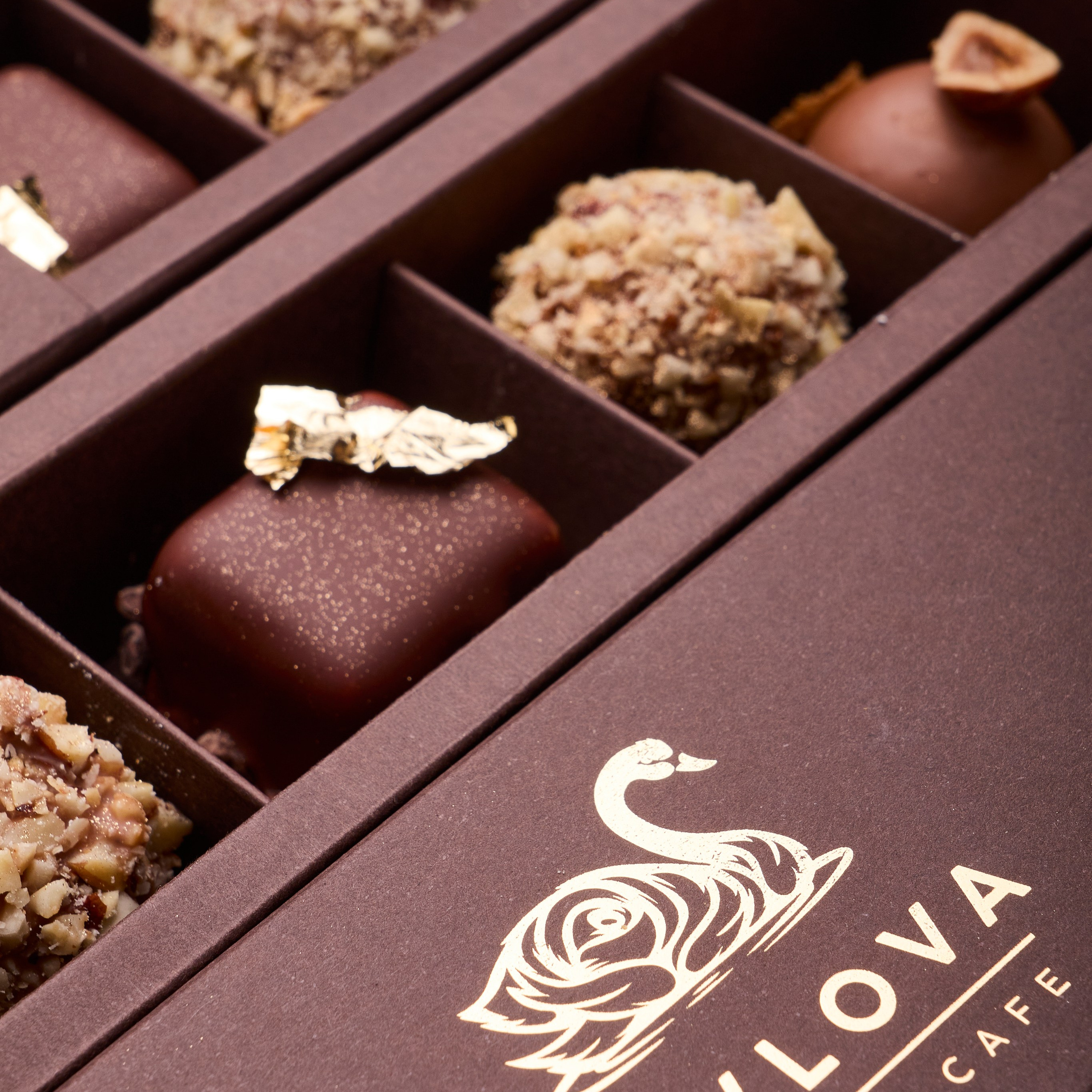 Food Marketing & Visuals