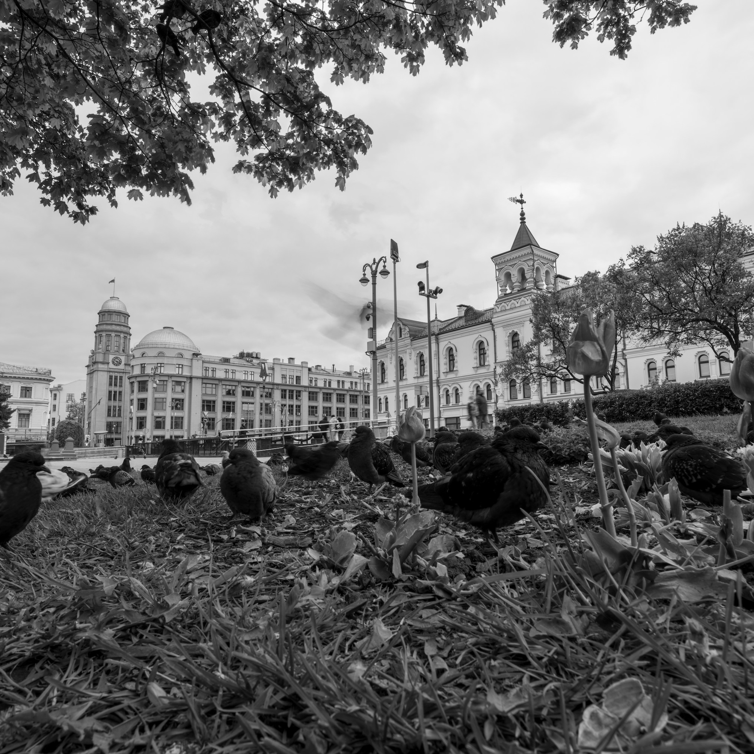 Максим Бут фотограф в Москве , Maxim Bout photographer, , заказать фотосессию в Москве.