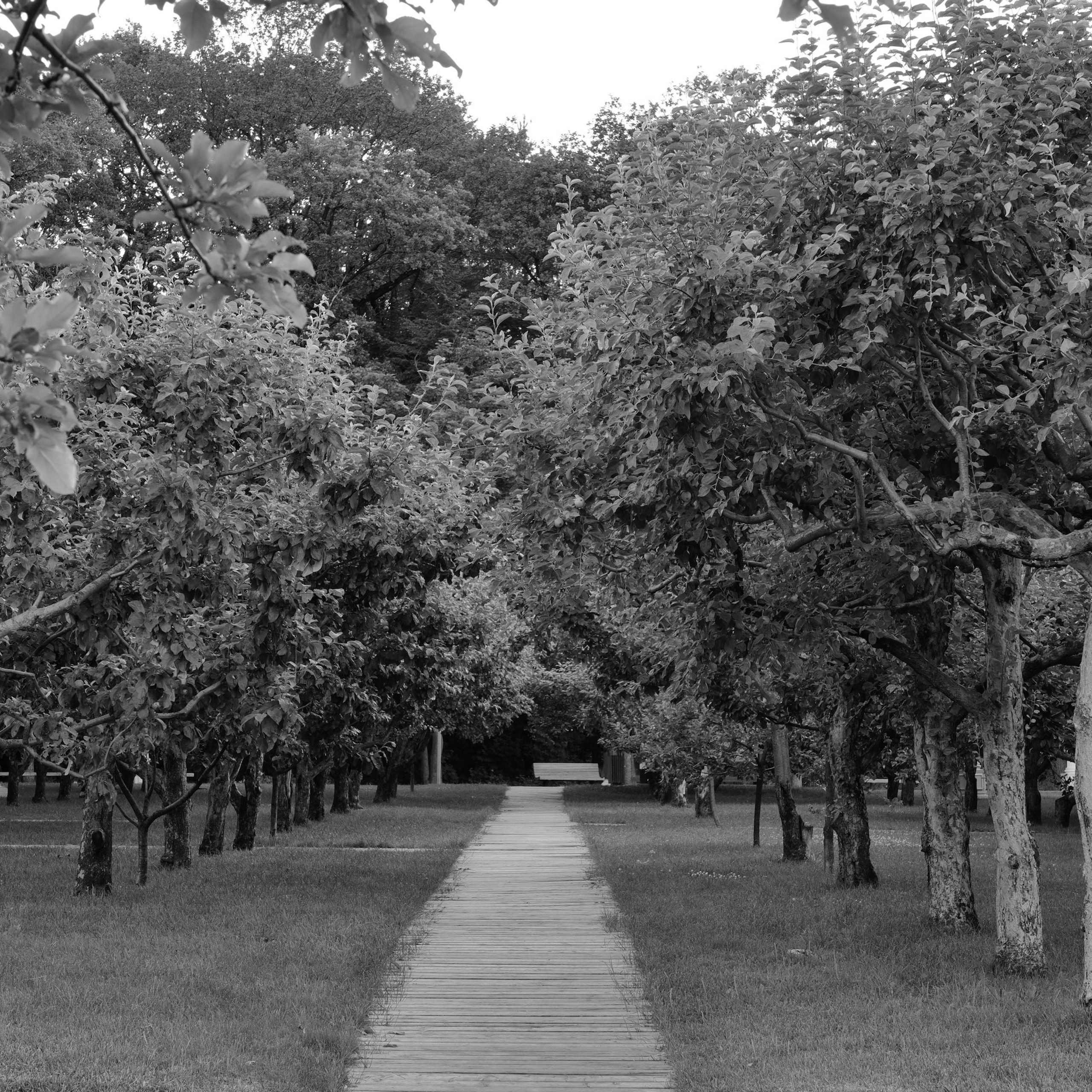 Максим Бут фотограф изобразительное искусство fine art.