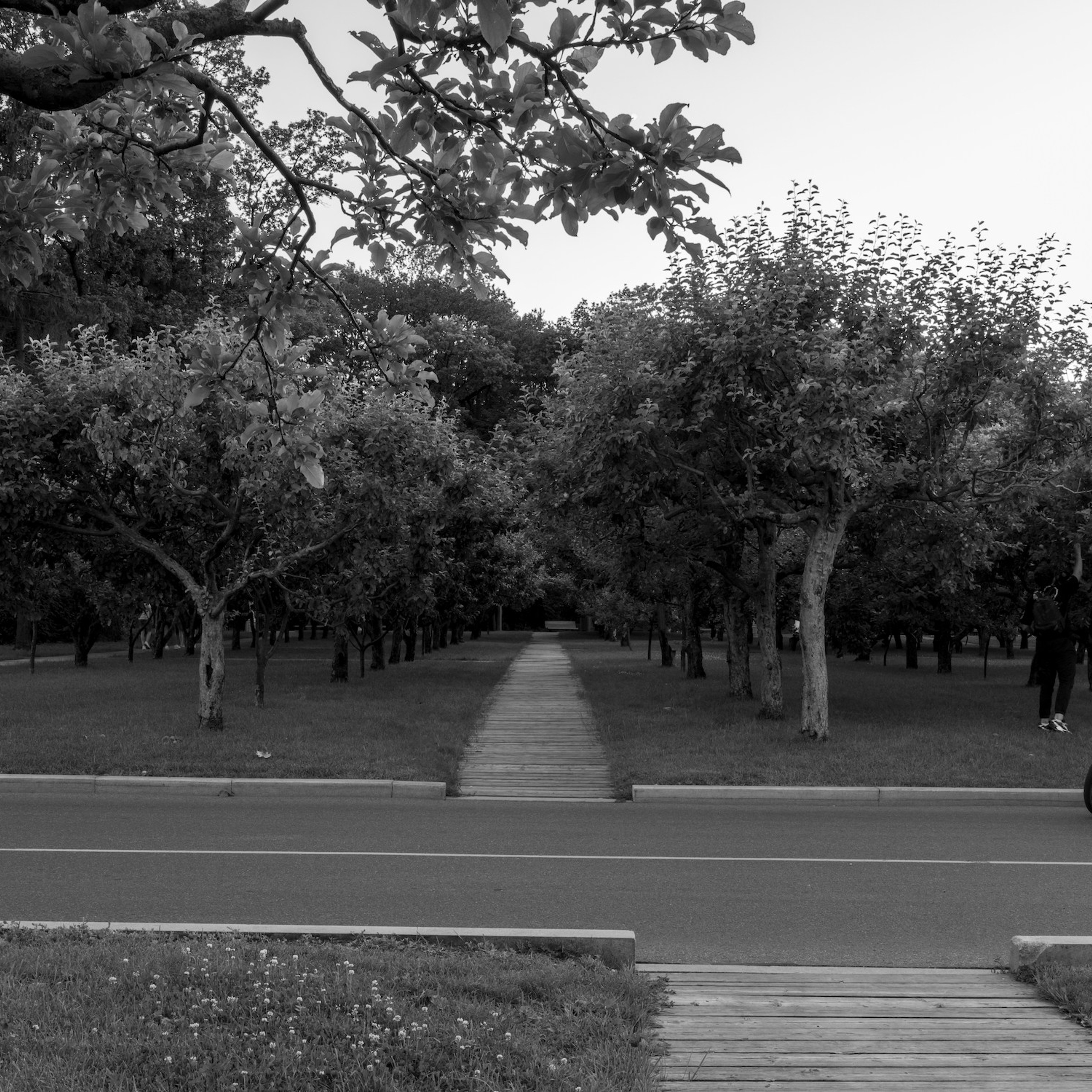 Максим Бут фотограф изобразительное искусство fine art.