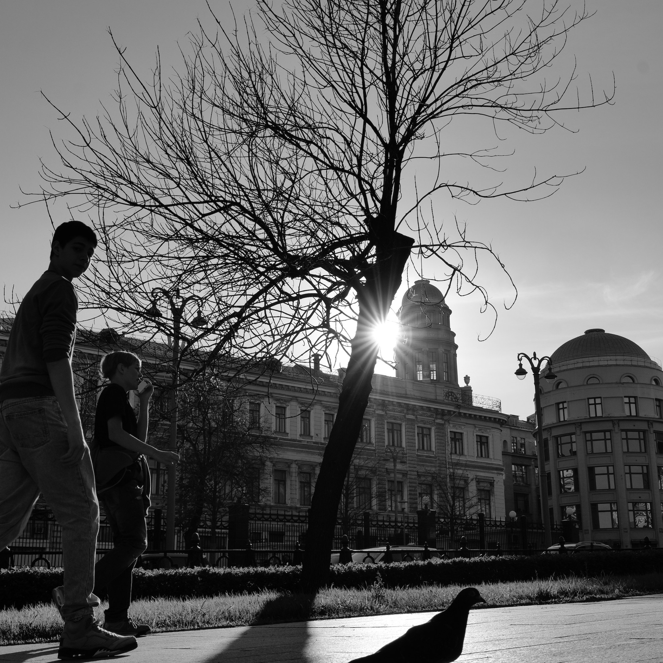 Максим Бут фотограф в Москве , Maxim Bout photographer, , заказать фотосессию в Москве.