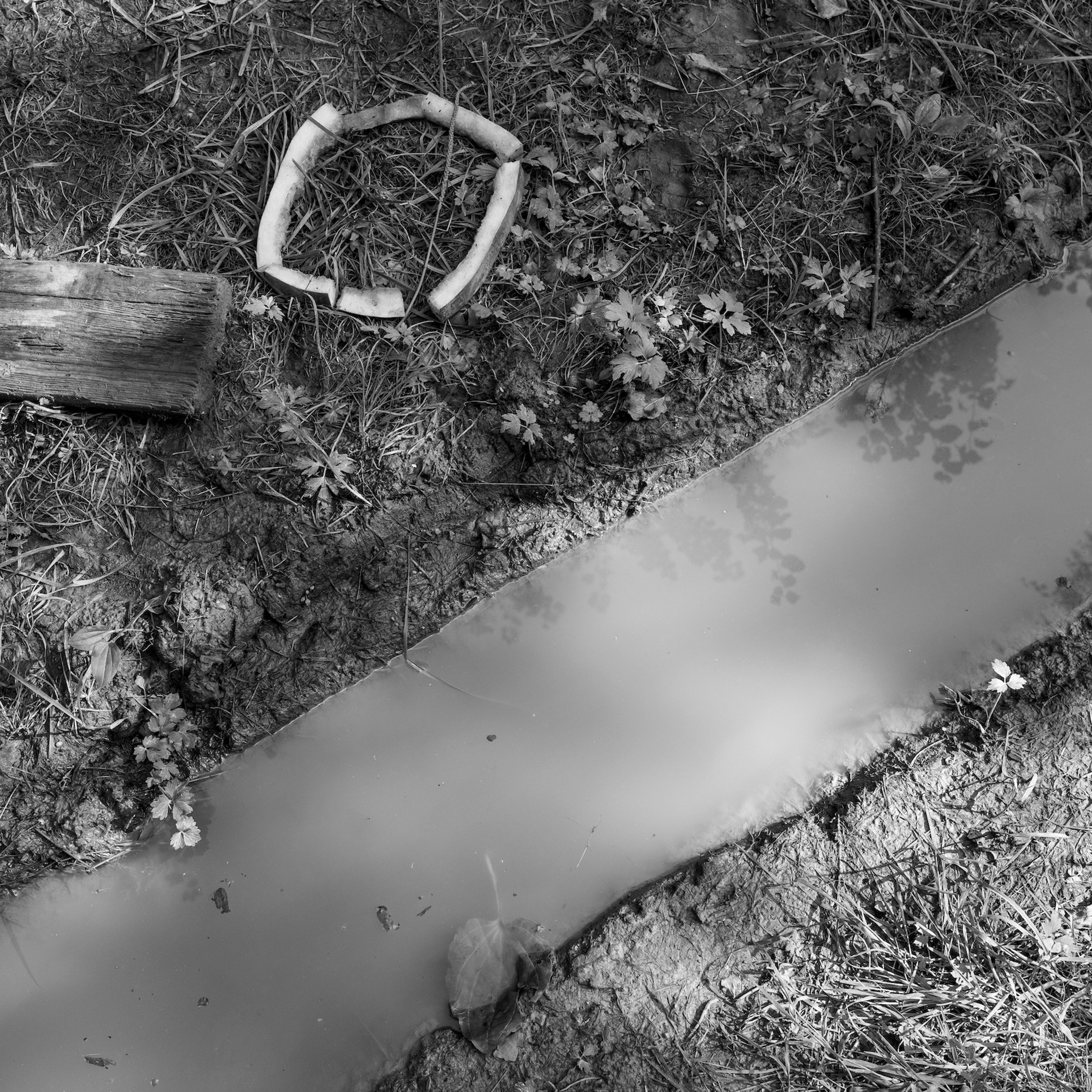 Максим Бут фотограф в Москве , Maxim Bout photographer, , заказать фотосессию в Москве.