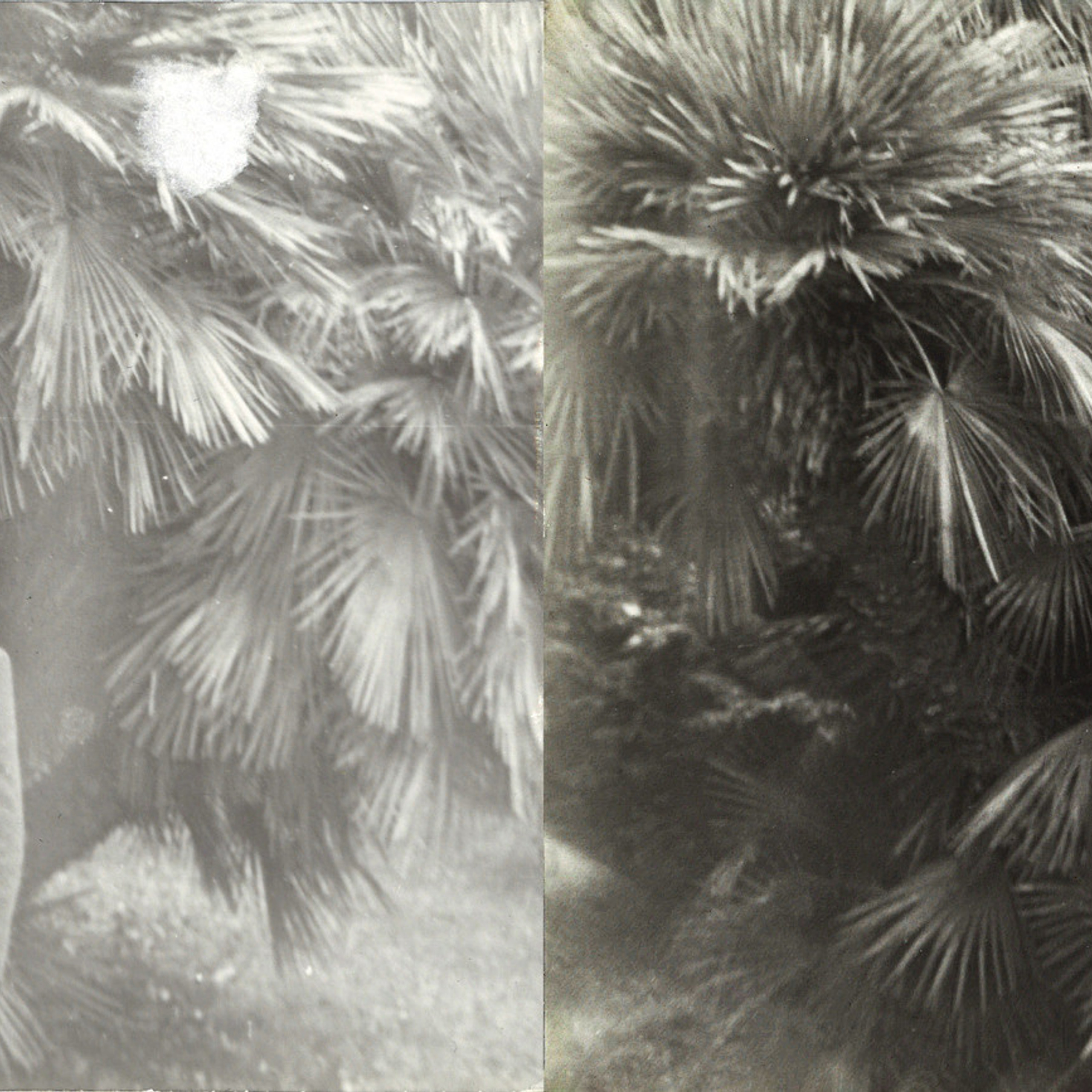 Фото до и после. Стоимость такой работы 500 р