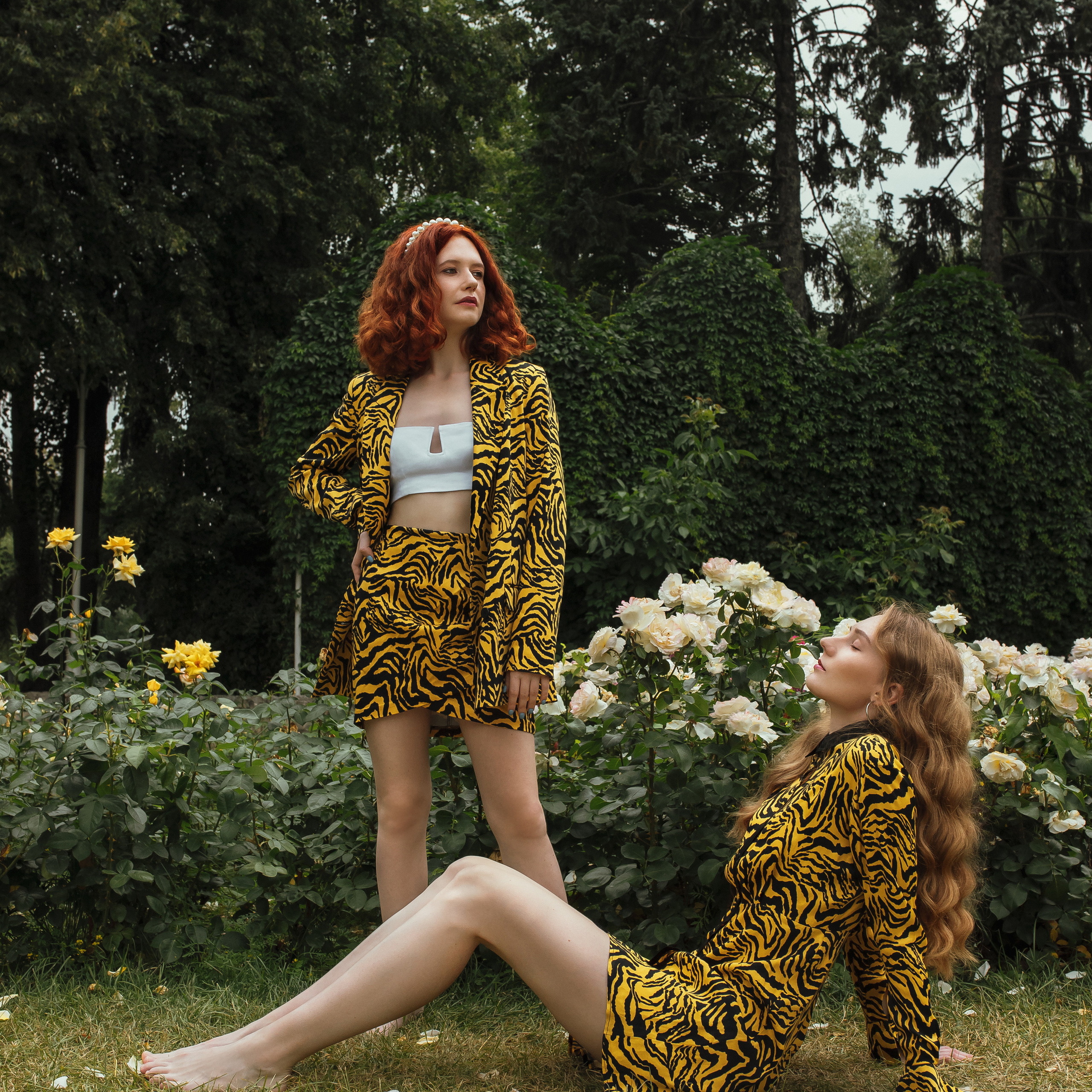 Кампейн Пикник