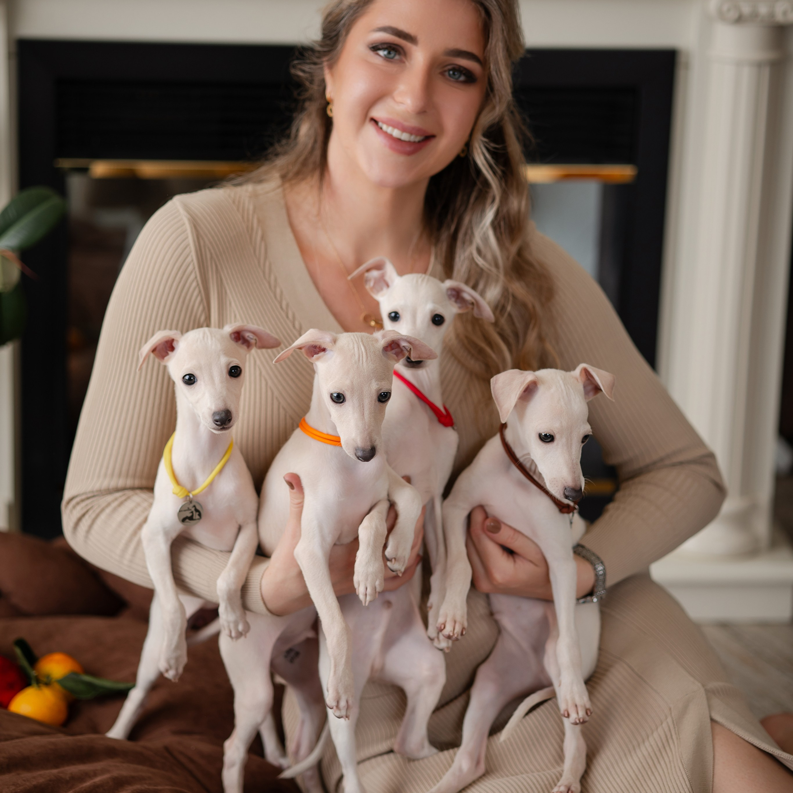 Итоги марта. Профессиональный питомник левреток РКФ/FCI ASTI SAPPHIRE 💎 Сочи|Санкт-Петербург